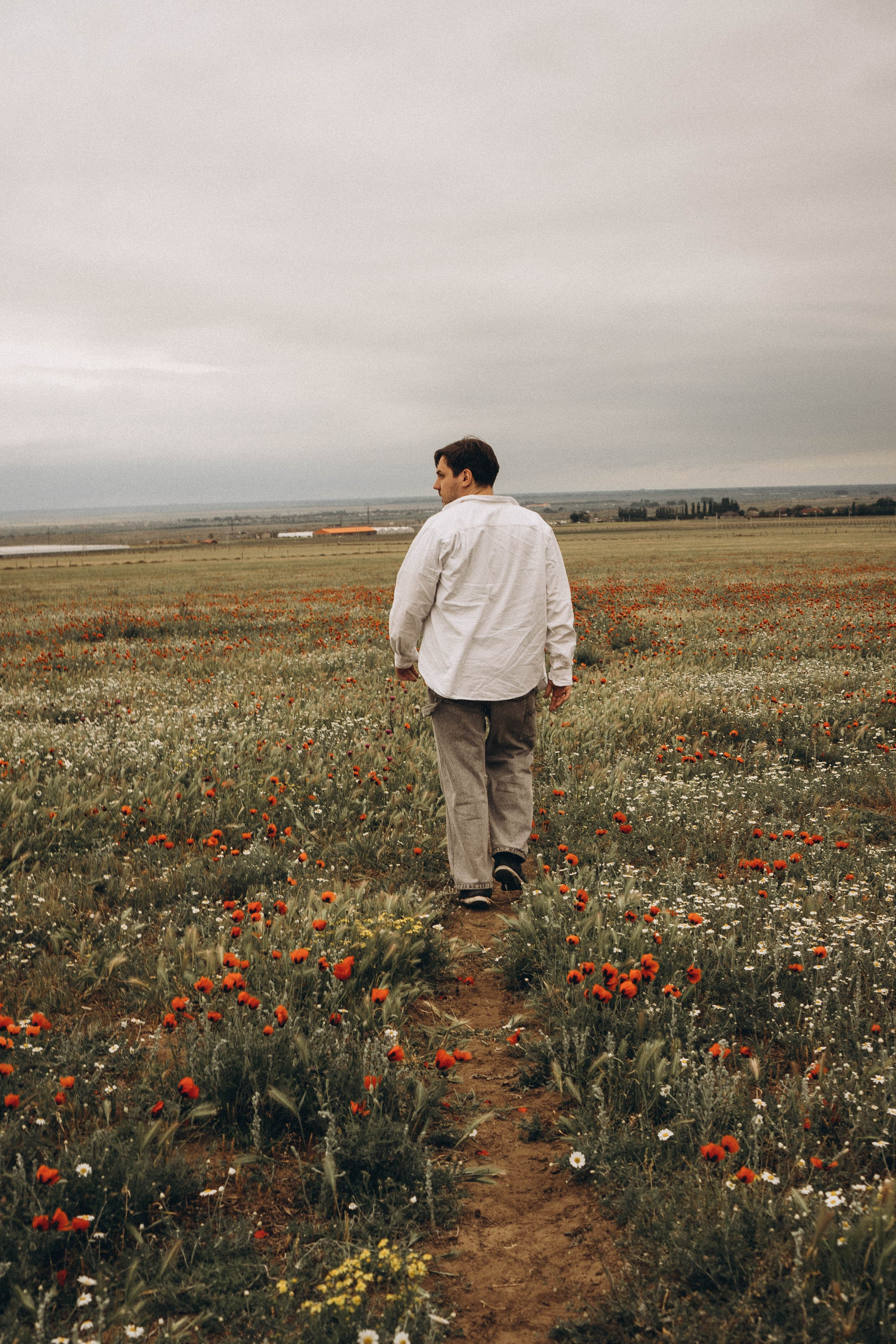 Маки. Профессиональный фотограф, Санкт-Петербург — Виктория Богомолова
