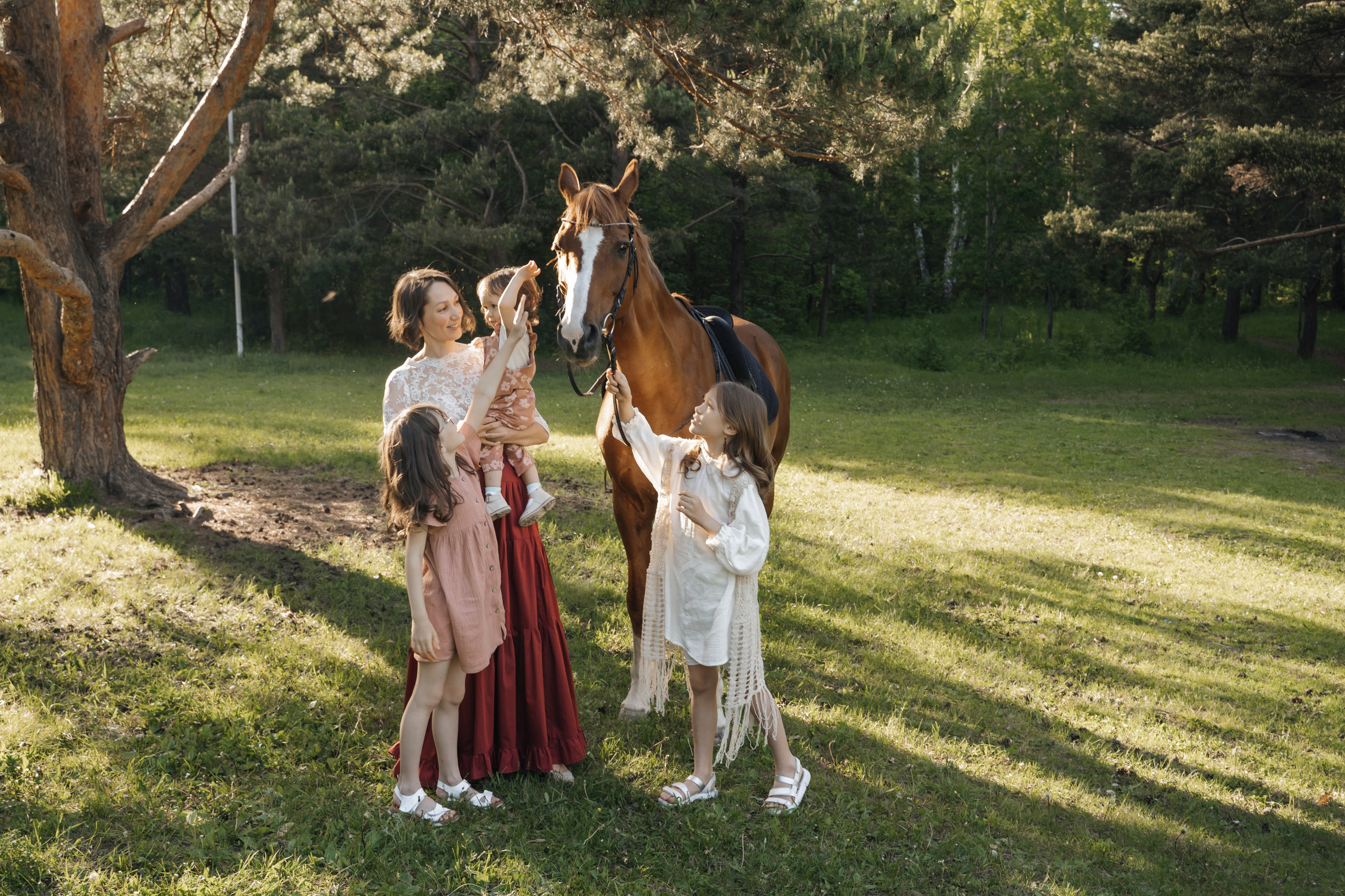 Семейная история с лошадьми. Главная