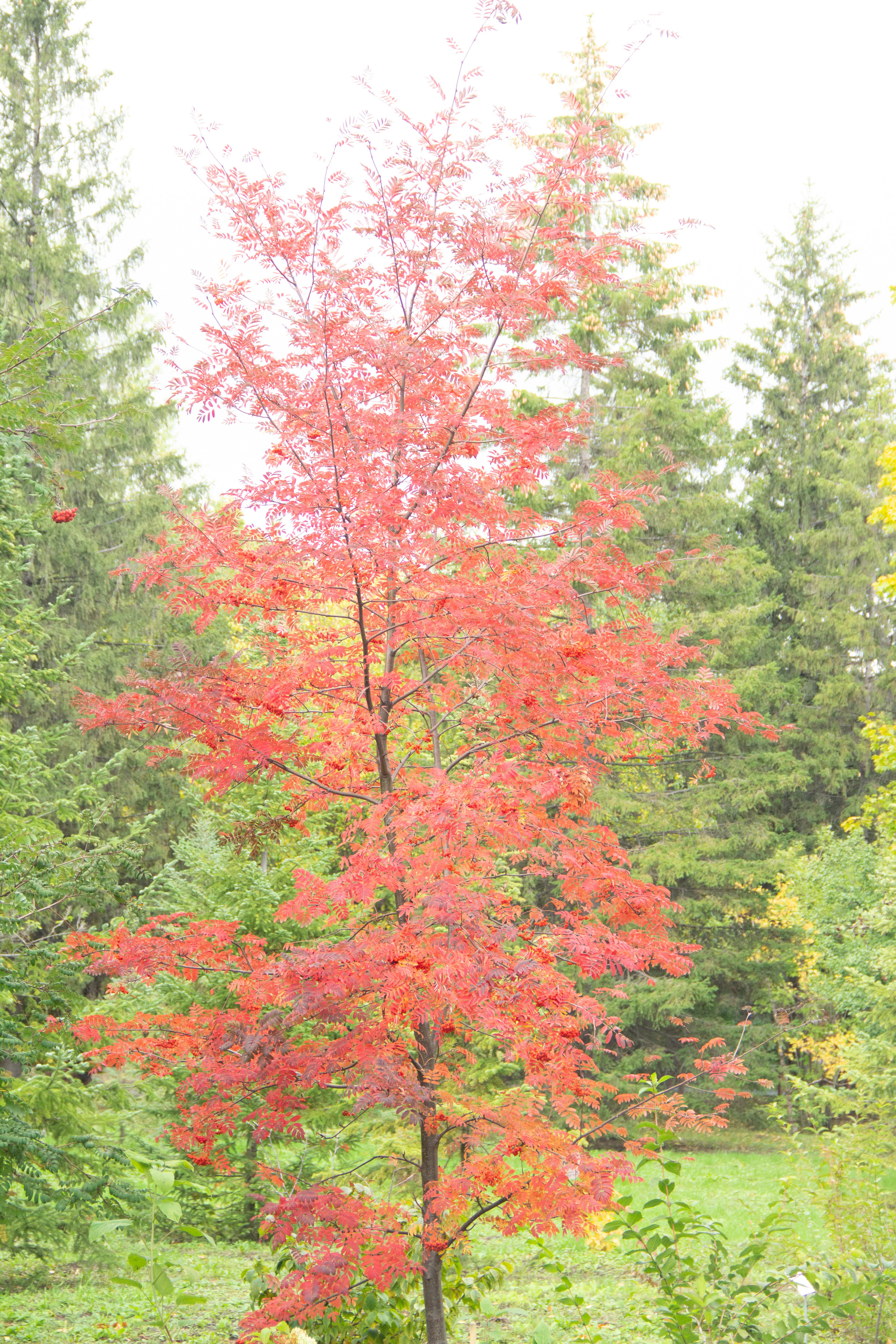 Истории. Фотограф, Портретные, семейный, детский, индивидуальный, Козлова Юлия