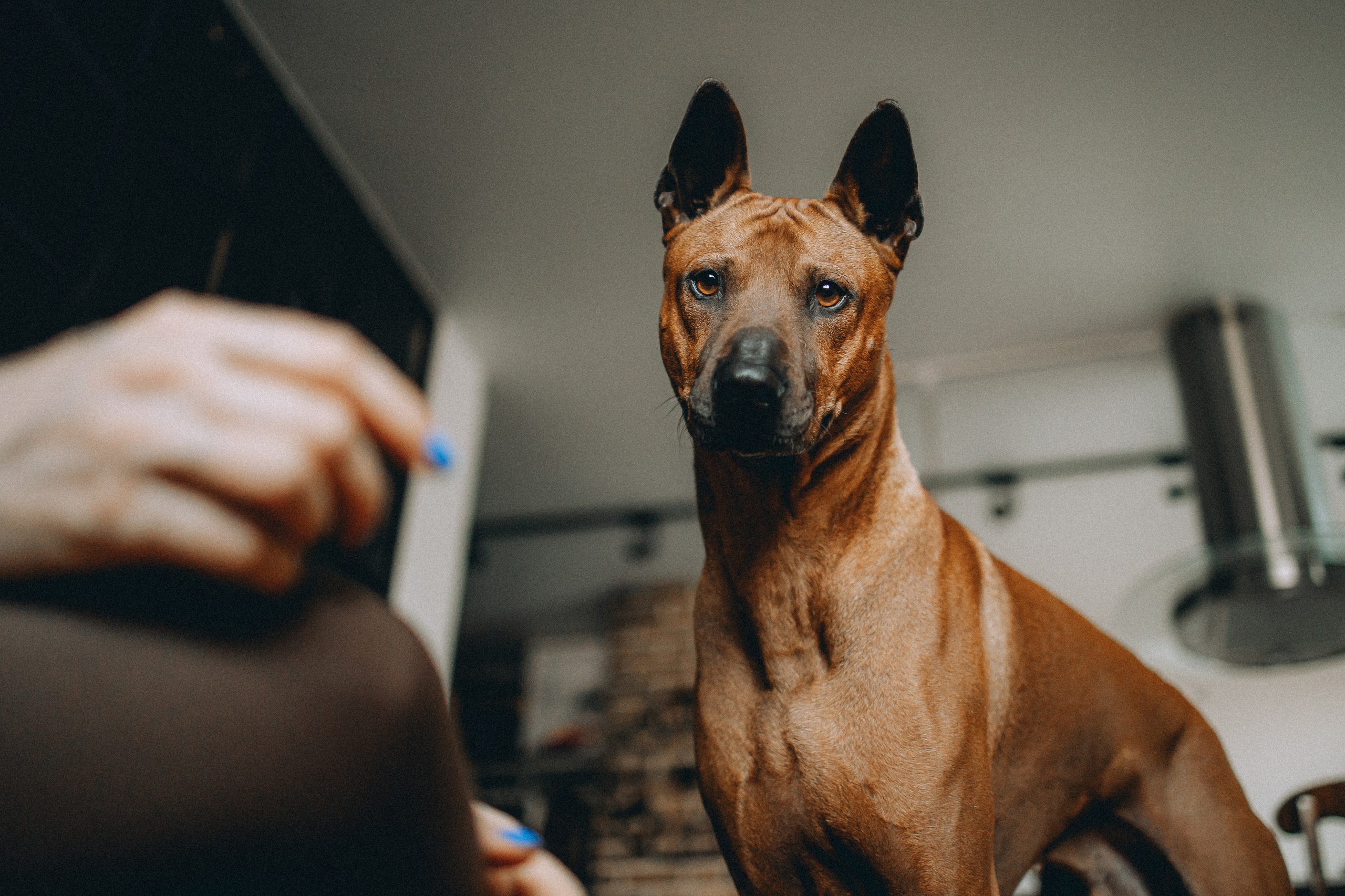 Оксана и Зевс