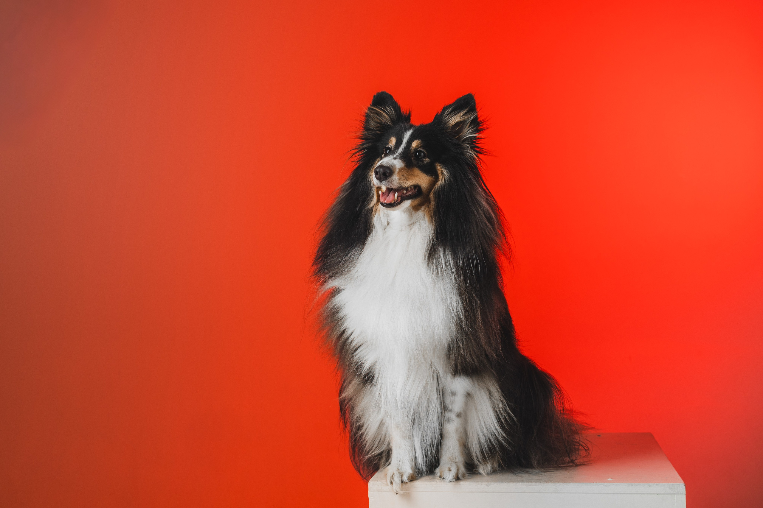 Воркшоп по импульсному свету