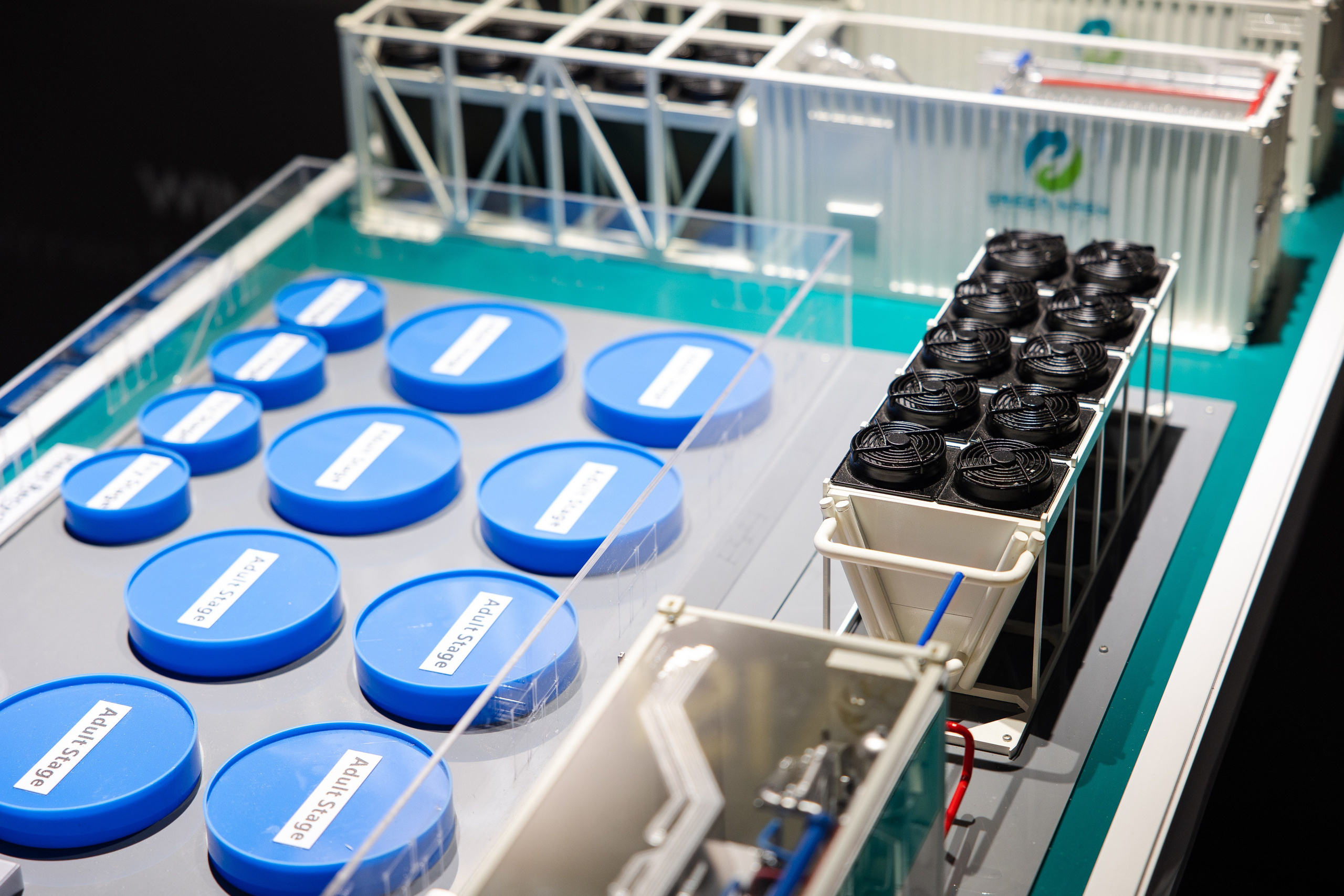 Crypto Summit (1). Свадебный репортажный фотограф в Москве