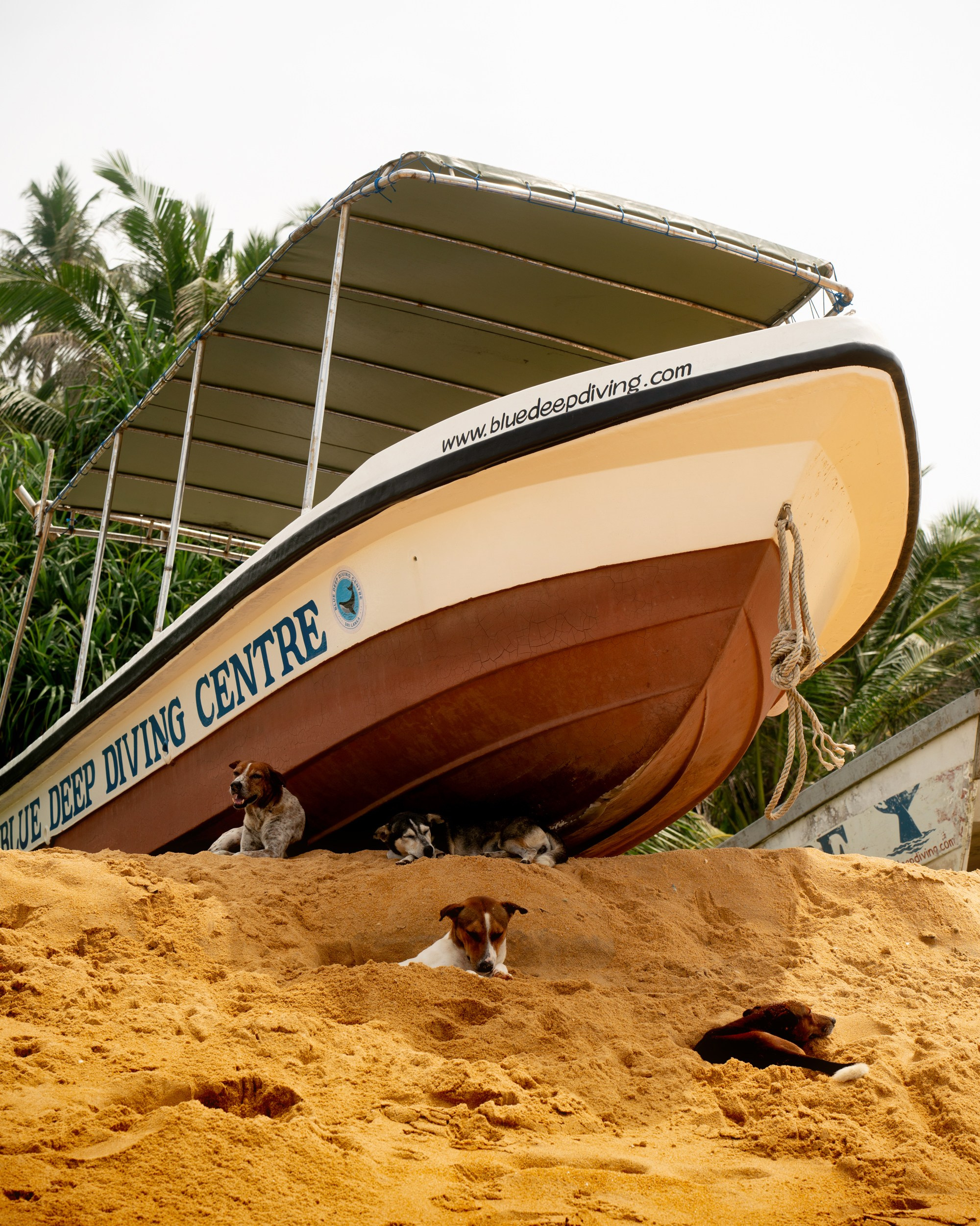 Ktokuda. Фотограф в Хабаровске. Фотография за 24 часа