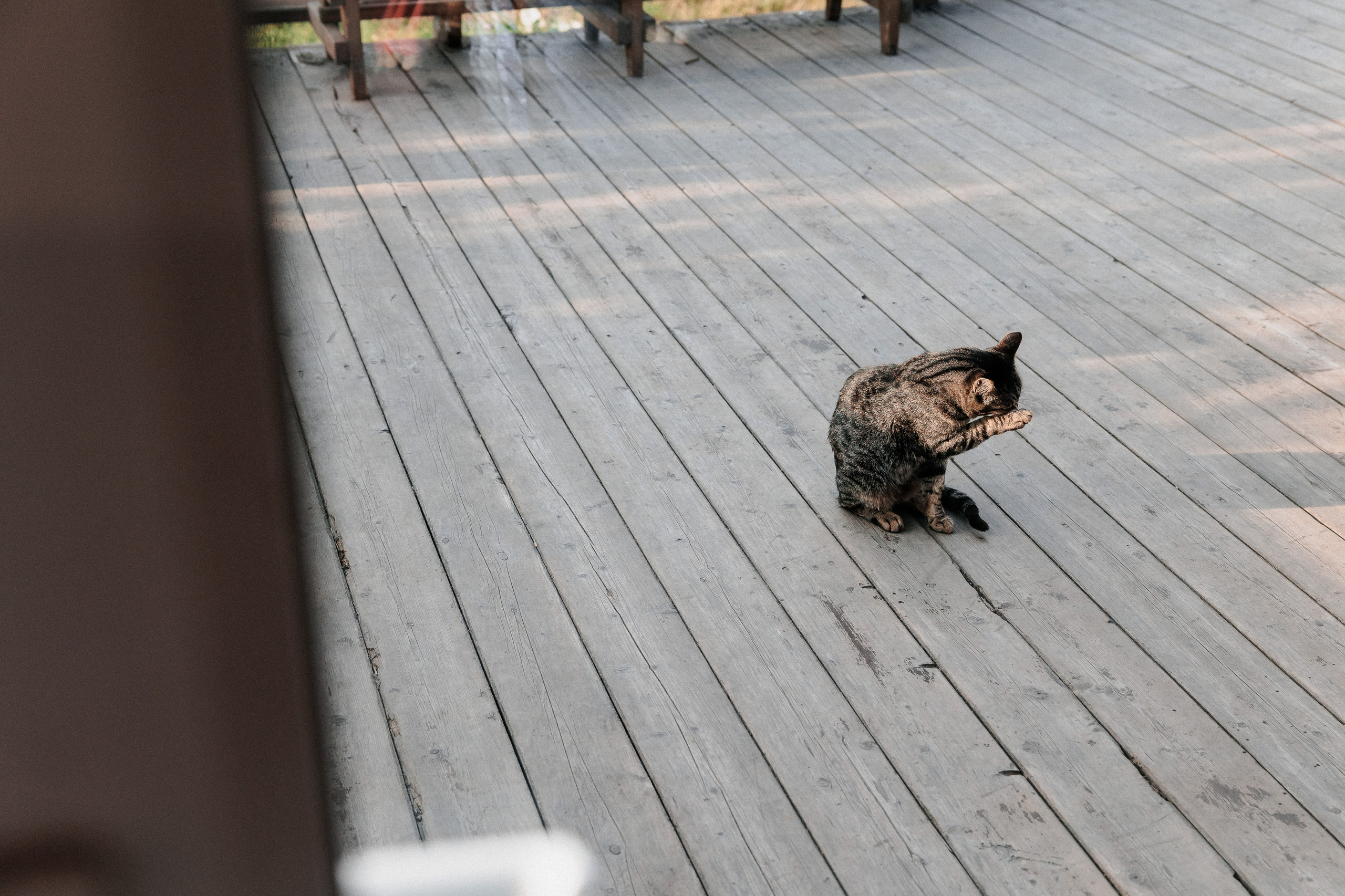 Мария и Андрей. Свадебный и портретный фотограф в Архангельске Илья Труфанов