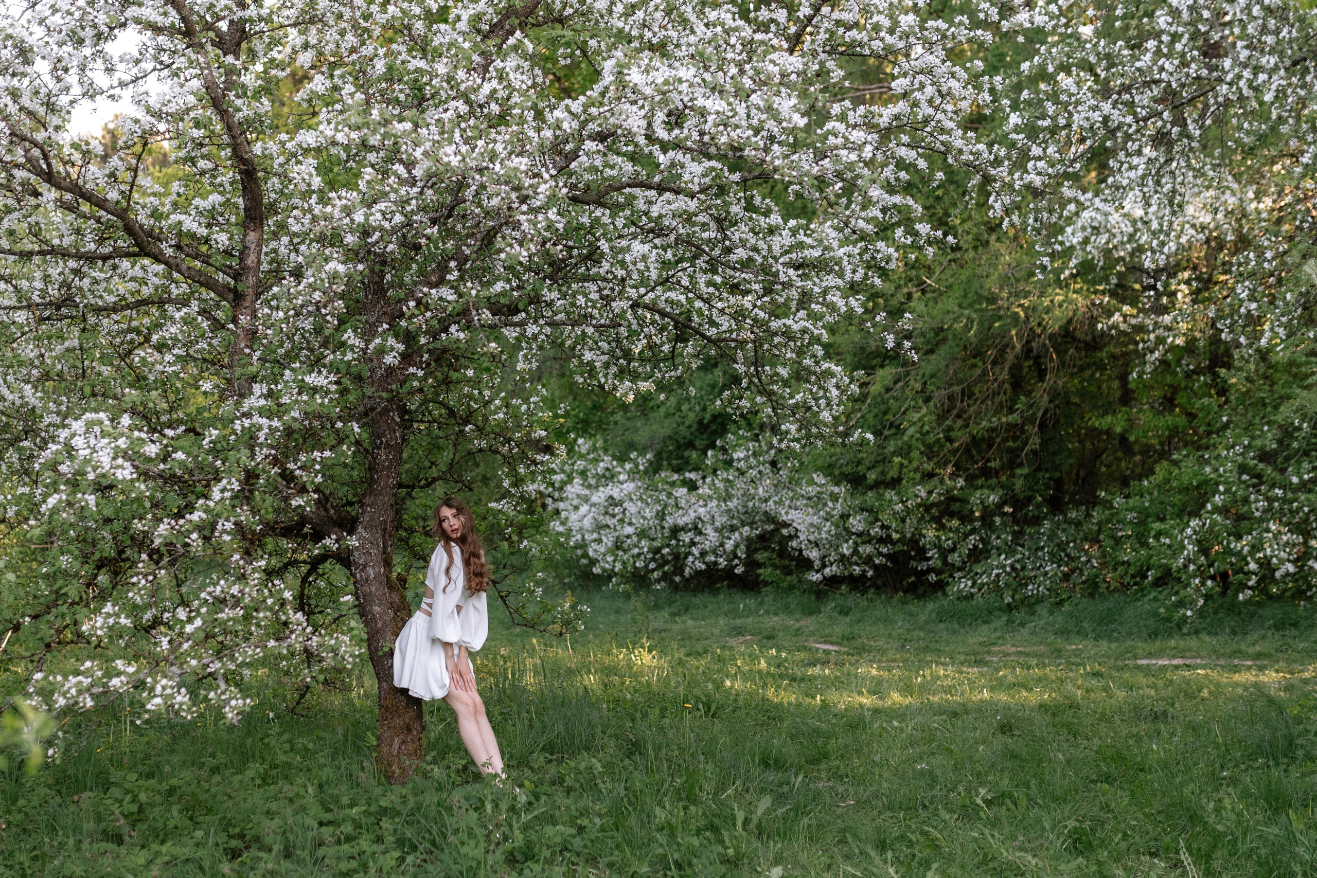 Утро. Фотограф Анна Агеева