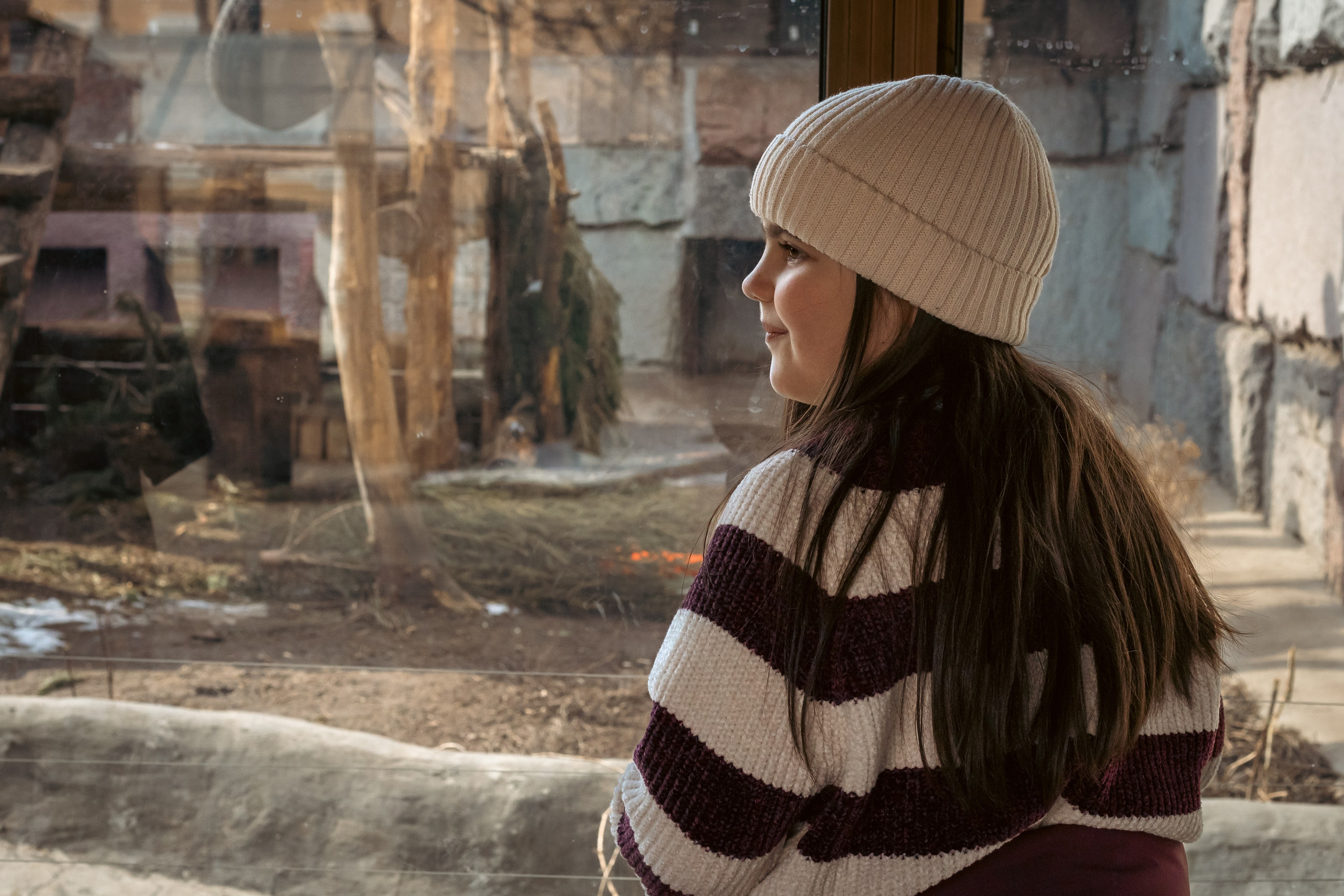 Zoo. Семейный фотограф Израиль