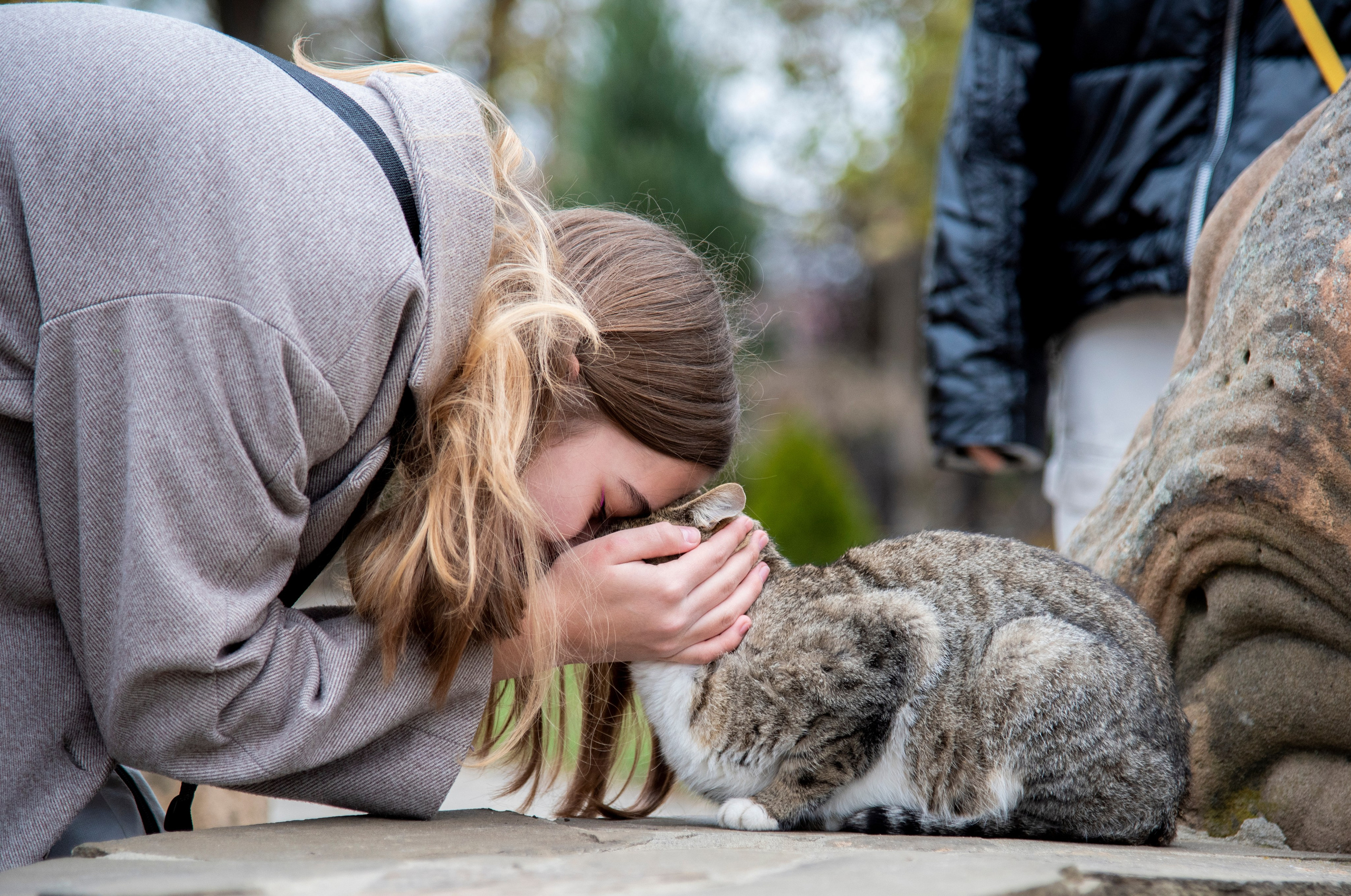 Девушка обнимает котика. серый цвет. парк лога. осень