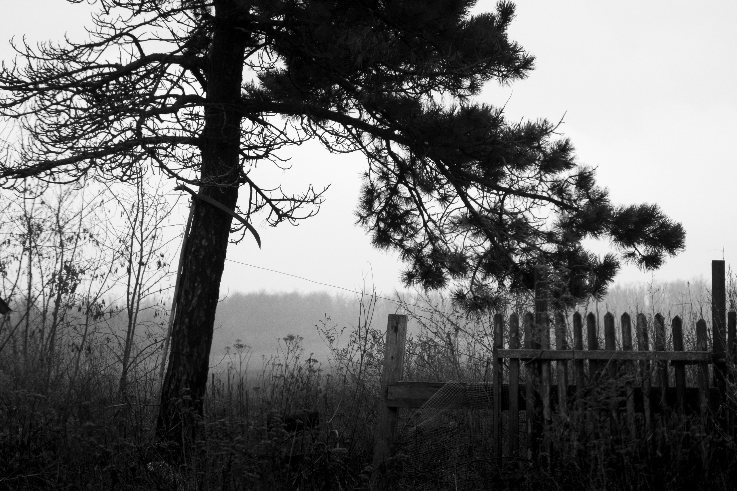 Деревня / Юг. Фотограф Антон Денисенко: Портрет, Документалистика, Пейзаж. Москва