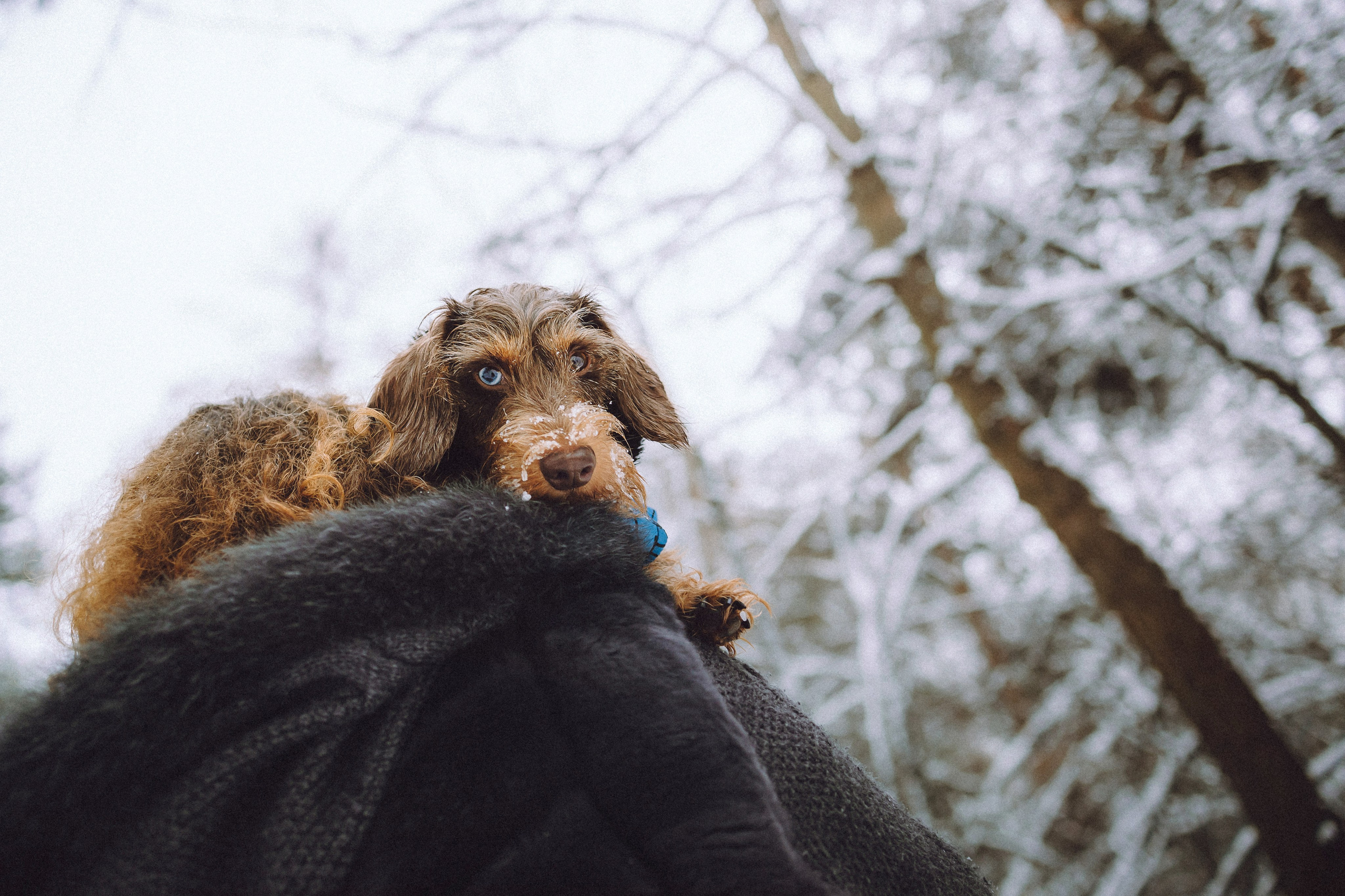 Каспер и его семья