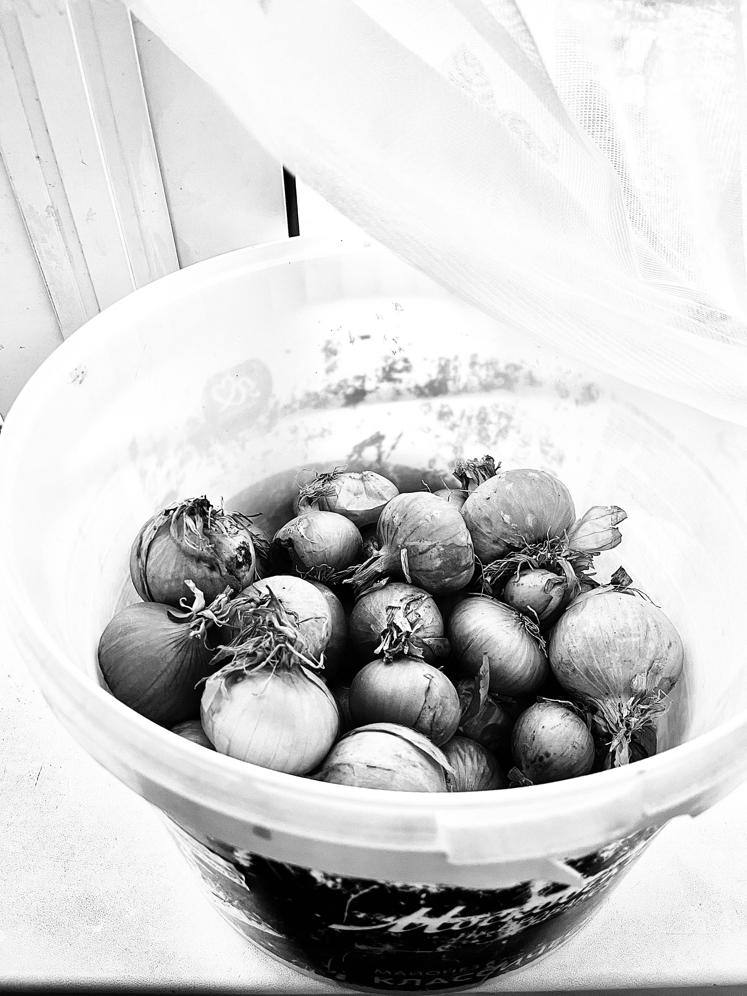 Маленькая история, 2024. Портретный фотограф в Москве Евгения Яковенко