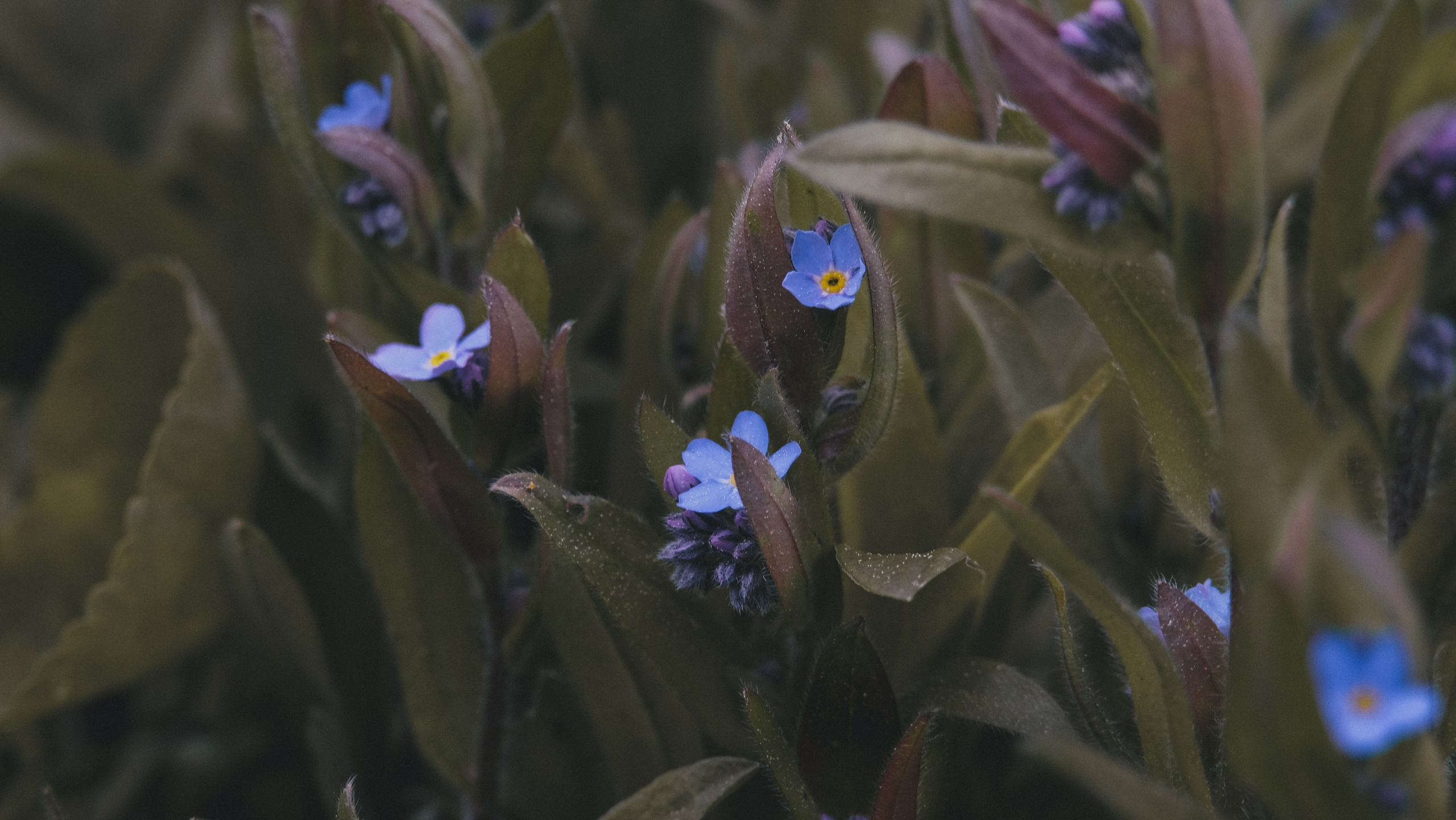 Чем дальше в лес. KRUTOVA_фотографирую жизнь