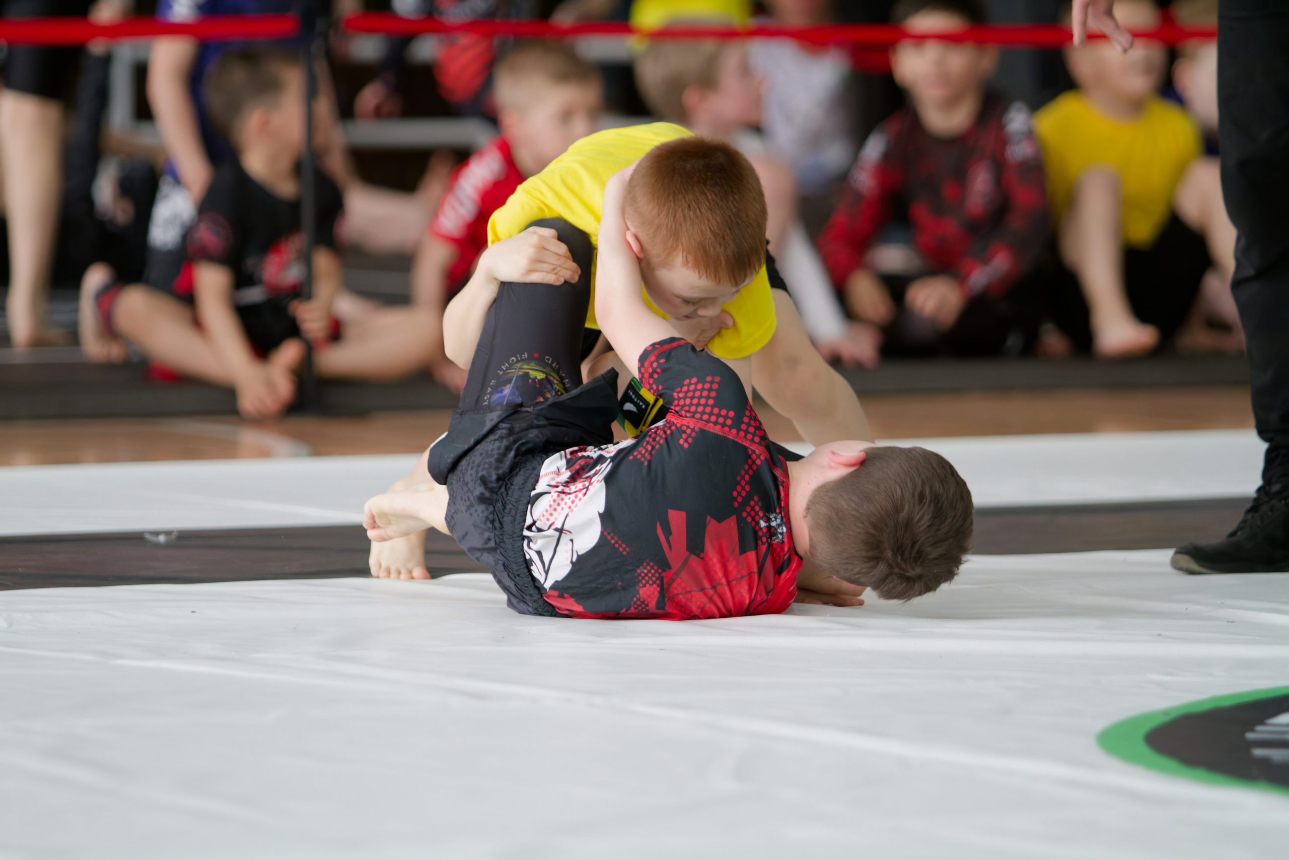 Борьба. Джиу-джитсу 26.04.2025. Репортажный и спортивный фотограф в г. Пермь Зильберг Павел