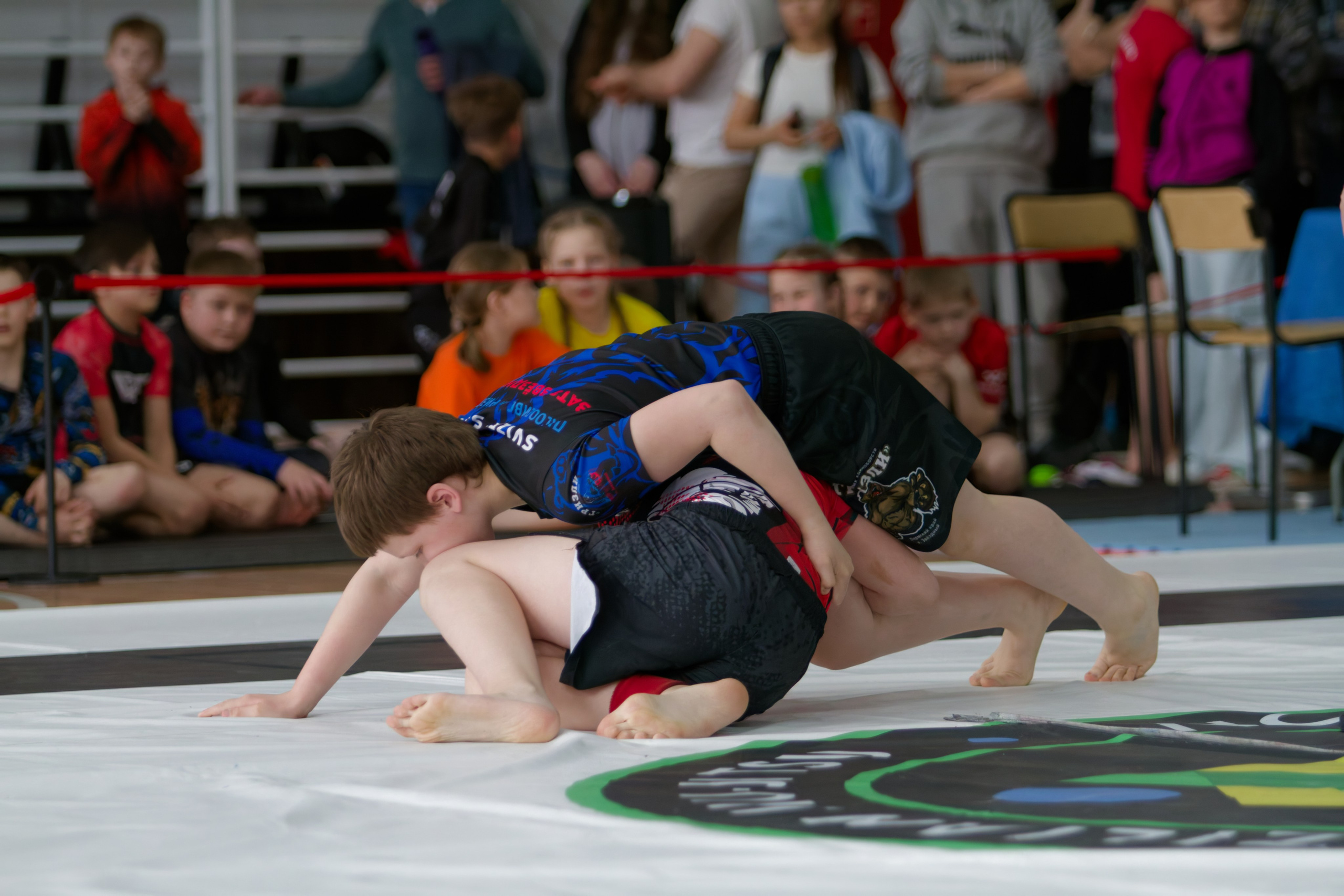 Борьба. Джиу-джитсу 26.04.2025. Репортажный и спортивный фотограф в г. Пермь Зильберг Павел