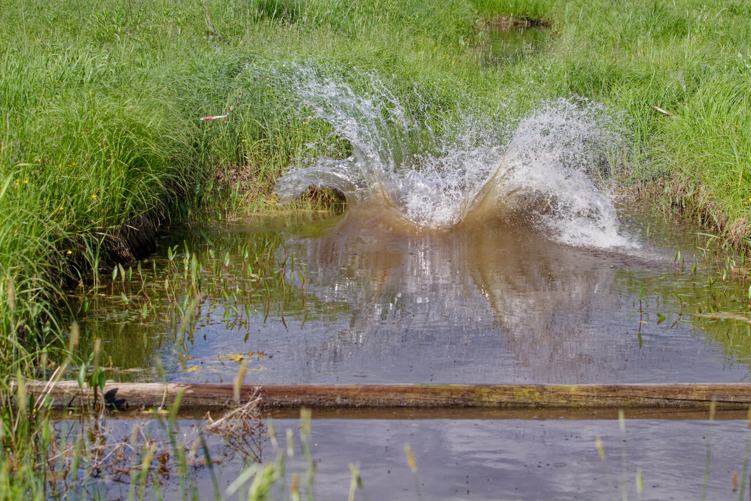 Родео59. Репортажный и спортивный фотограф в г. Пермь Зильберг Павел
