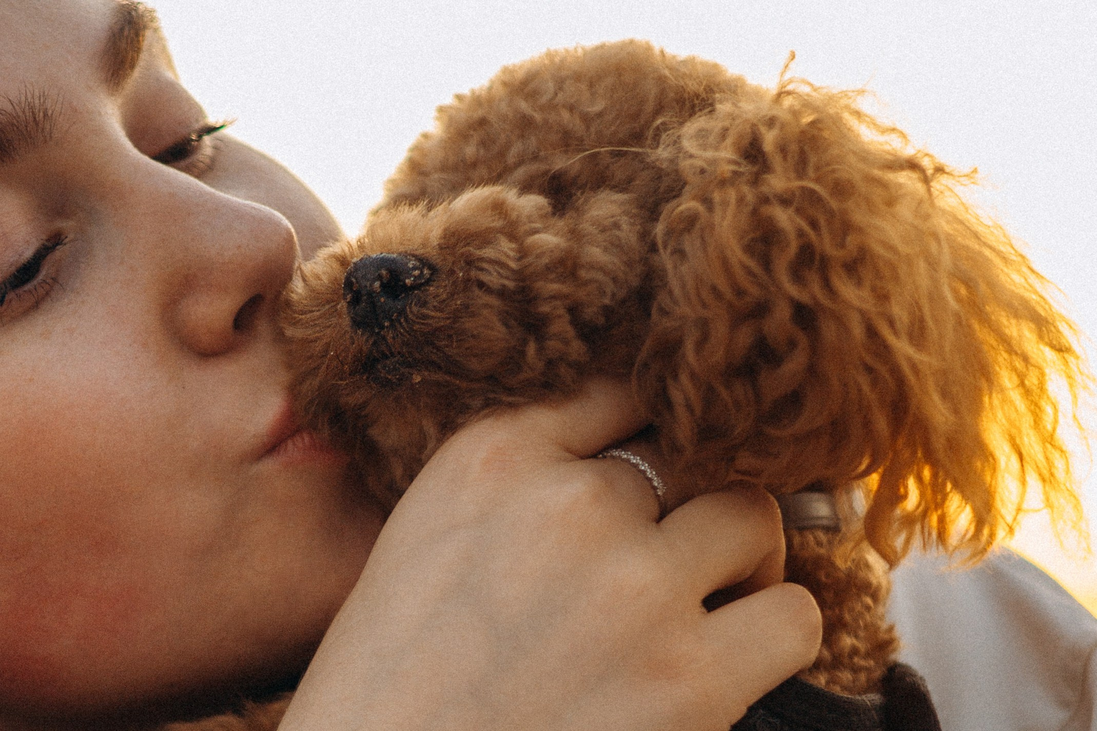 Девчонки и Филимон. Фотограф — анималист •love-story•|Санкт-Петербург