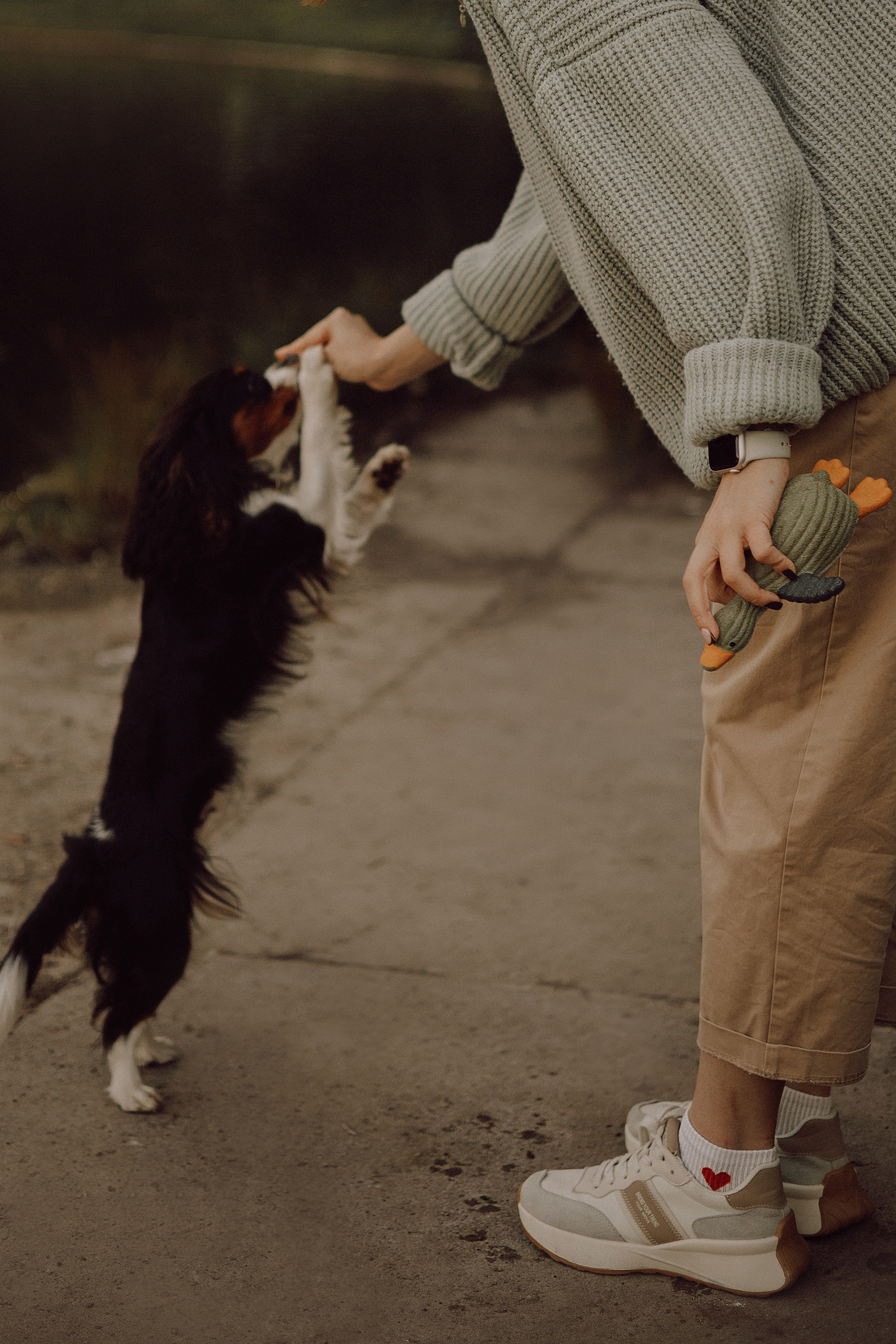 Один день из жизни Стеши и её родных. Фотограф — анималист •love-story•|Санкт-Петербург