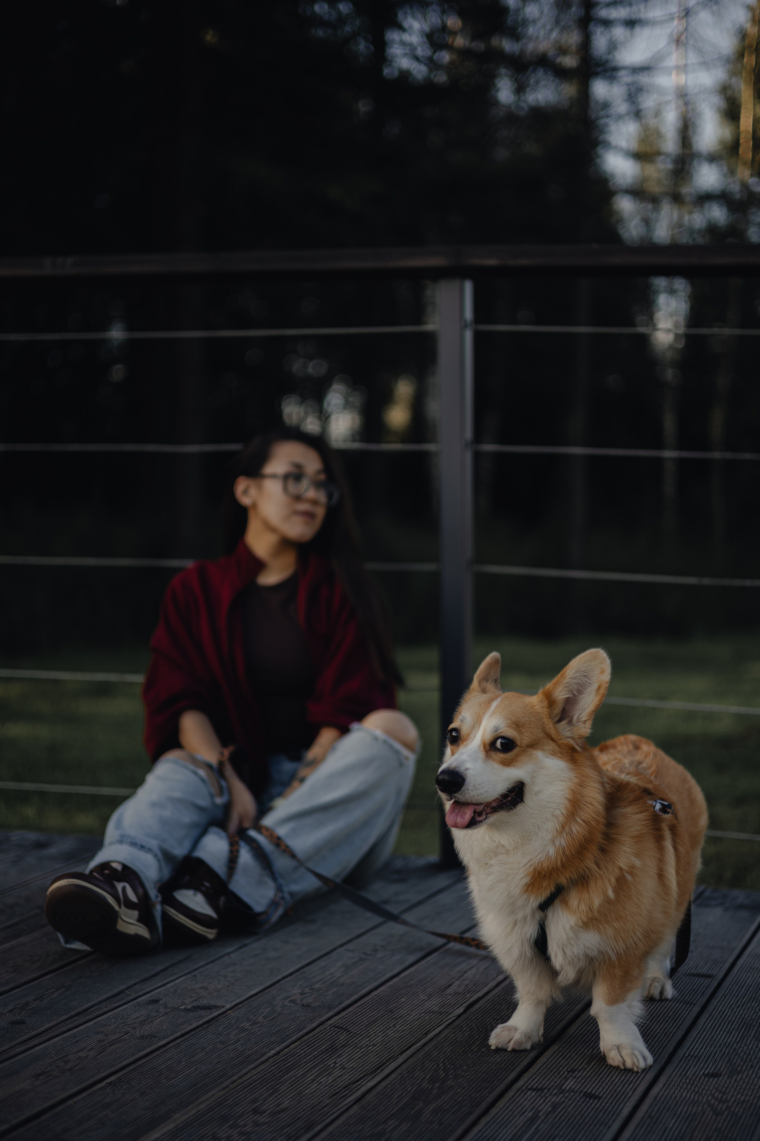 Мари & Йосик. Фотограф — анималист •love-story•|Санкт-Петербург