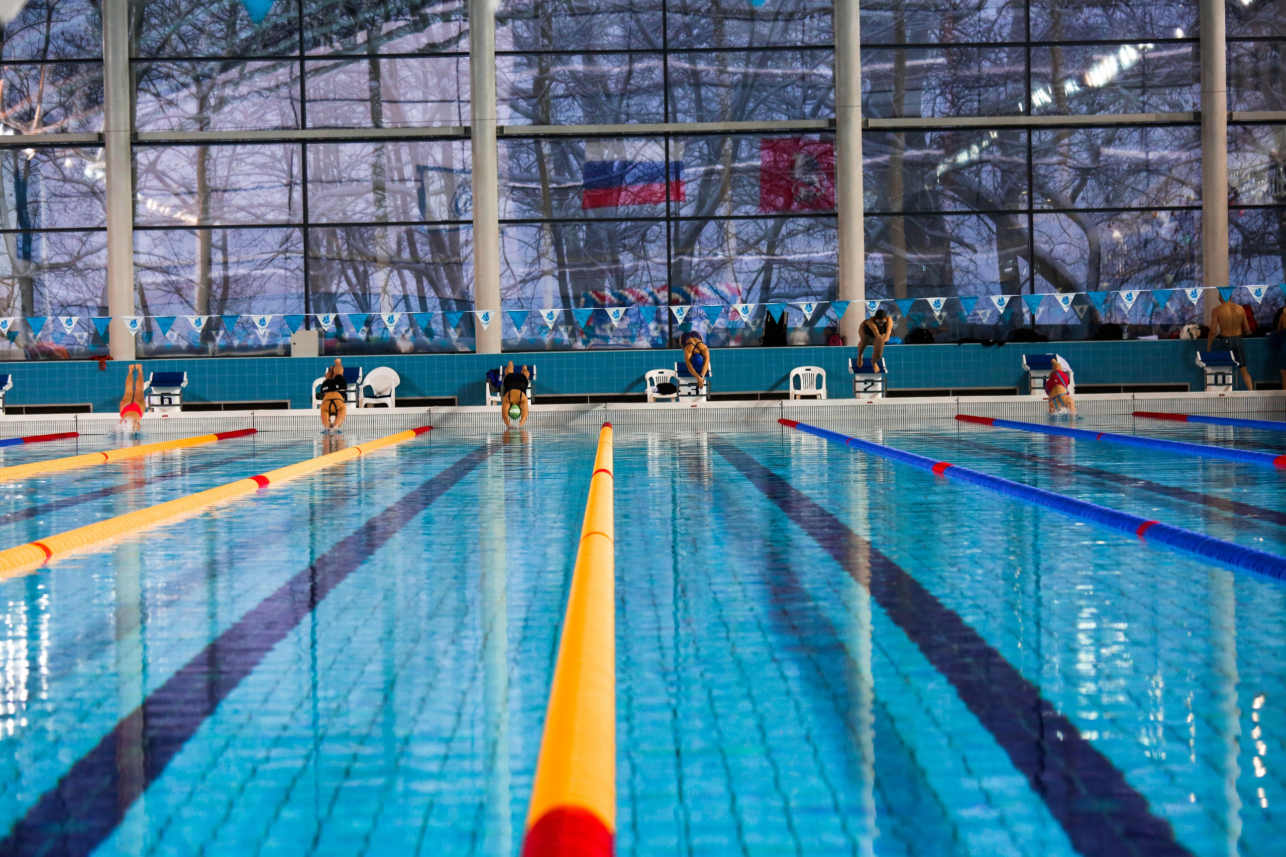 Соревнования по плаванию. Репортажный, семейный, свадебный, портретный фотограф