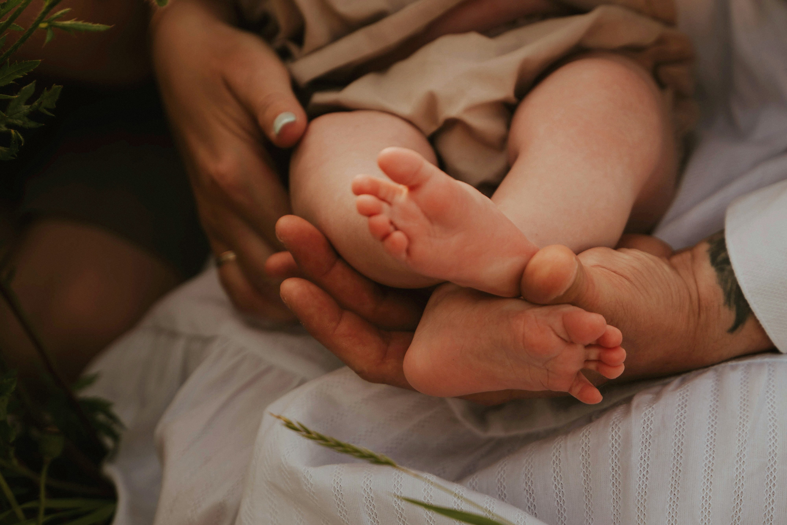 В маках. Татьяна Тагель