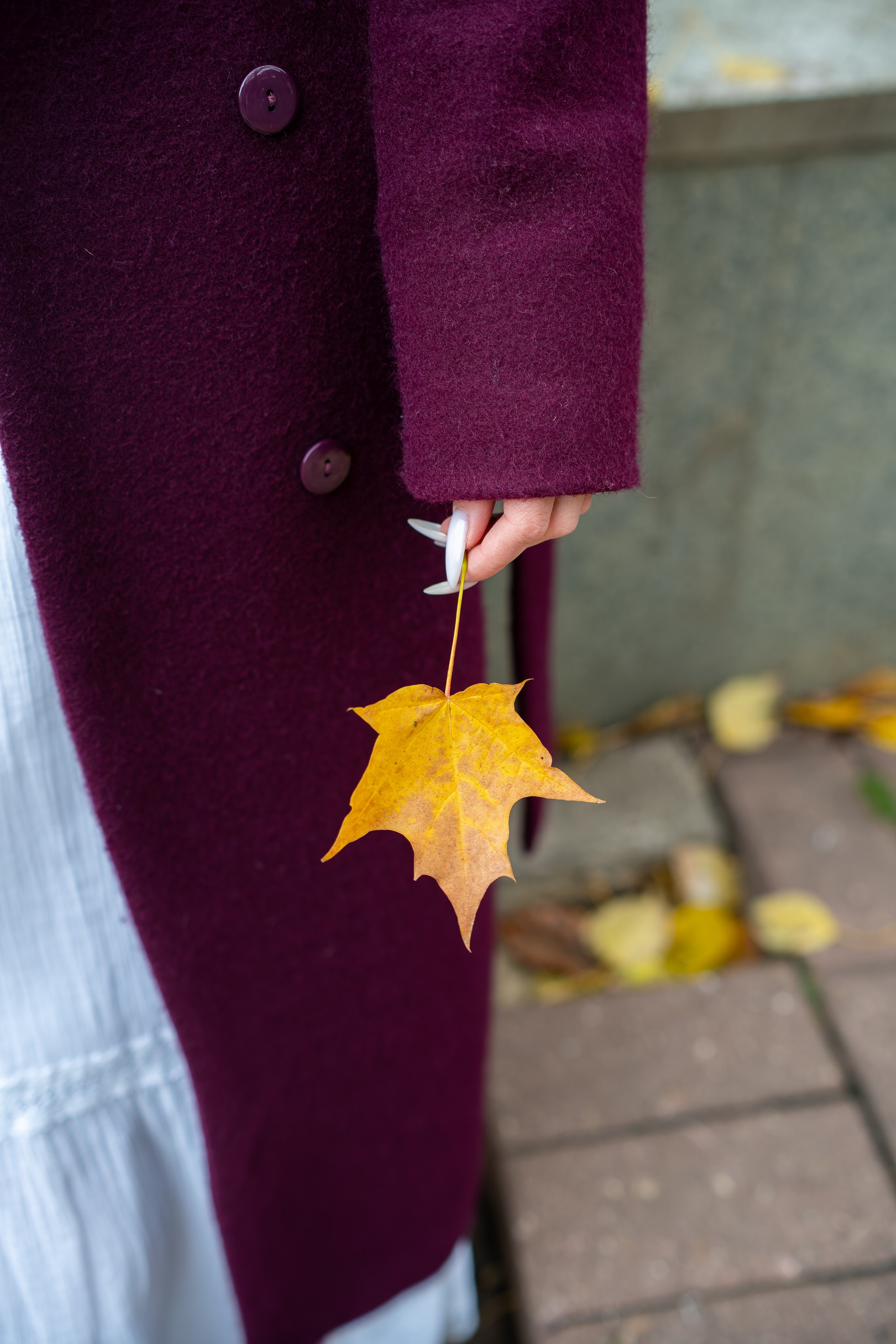 Атмосферная осенняя фотосессия. «Студия DRONAVT`s» — видеосъёмка и фотография г. Москва