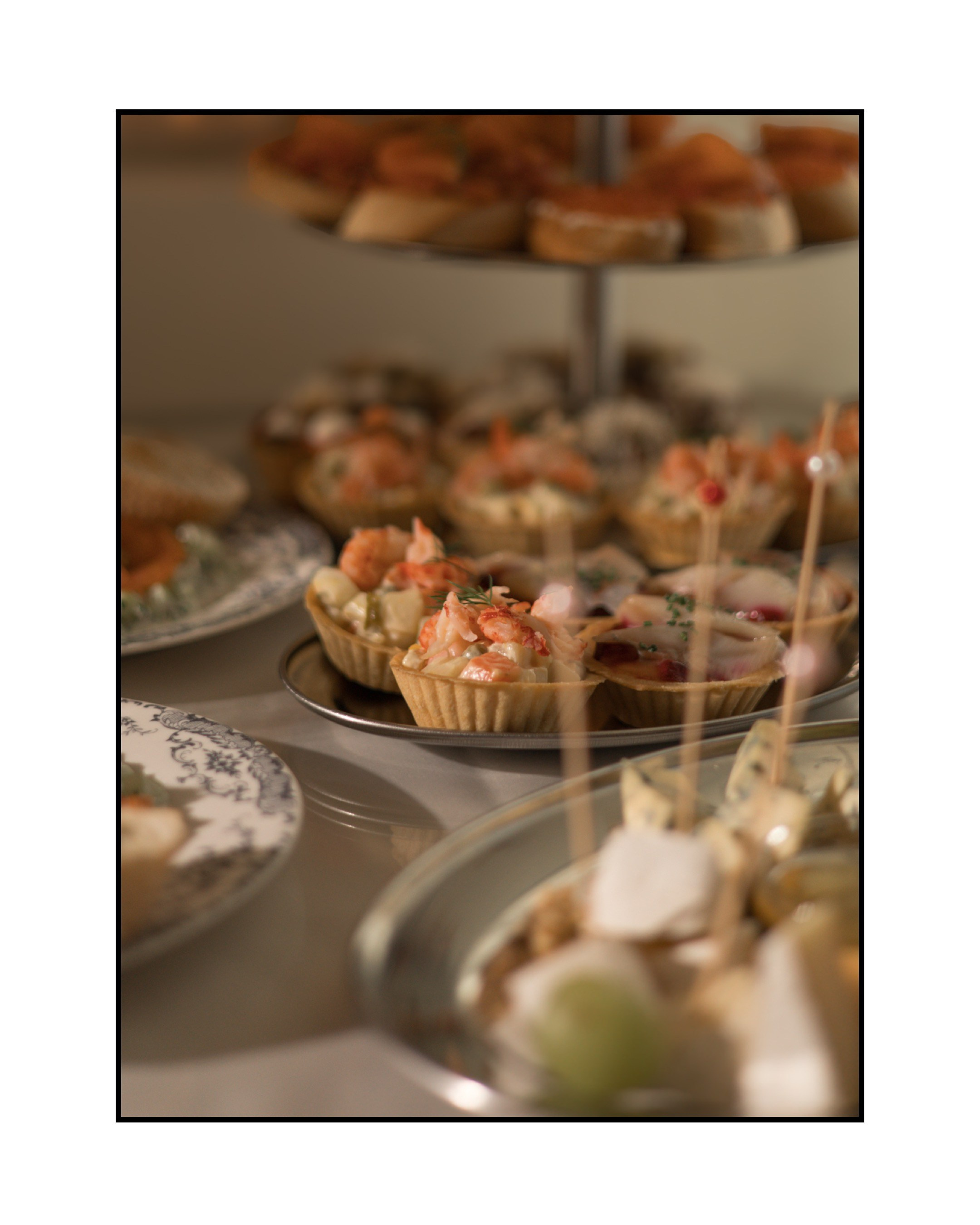 Alex | Bella. Viabel