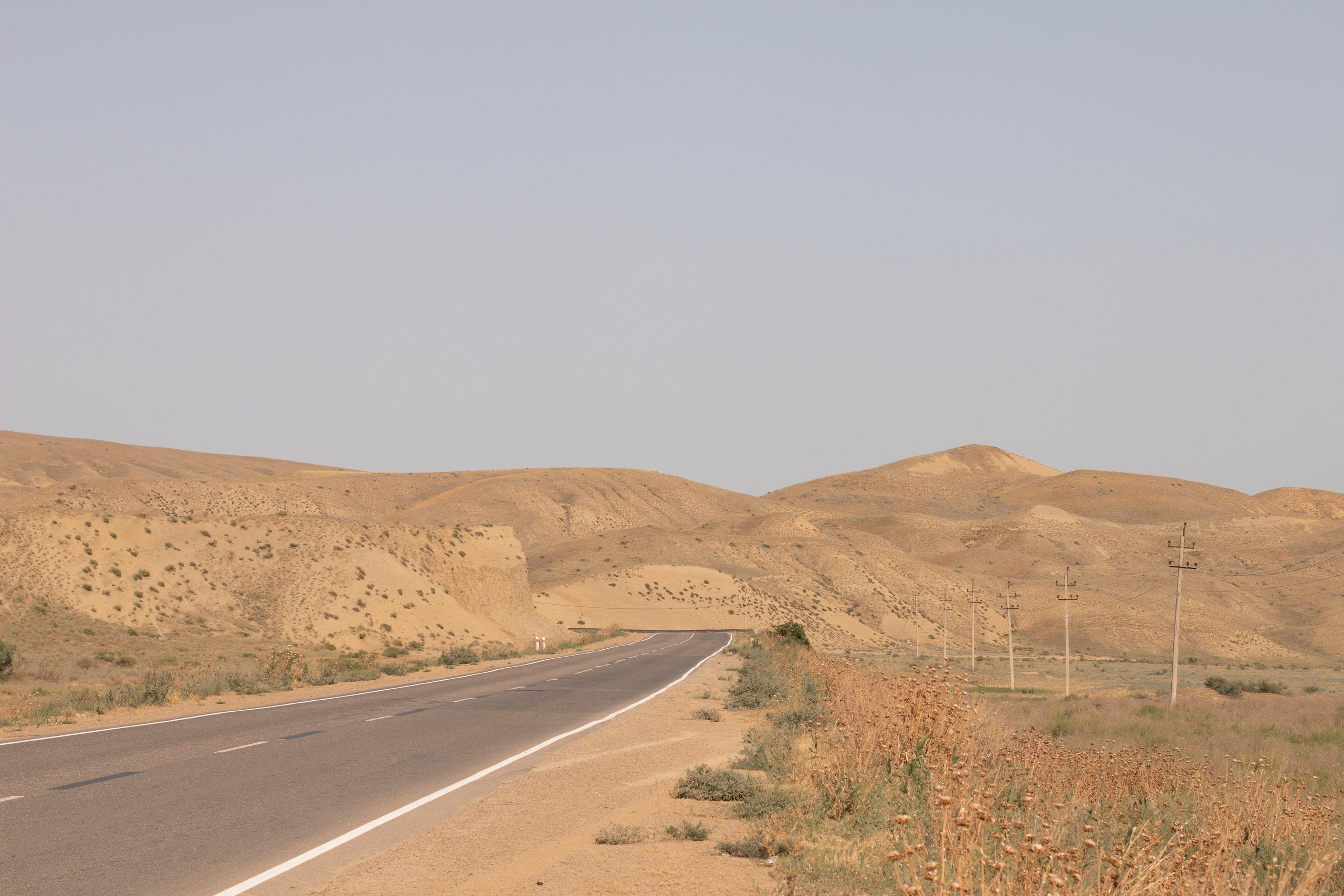 ART. Фотограф Злата Спицына