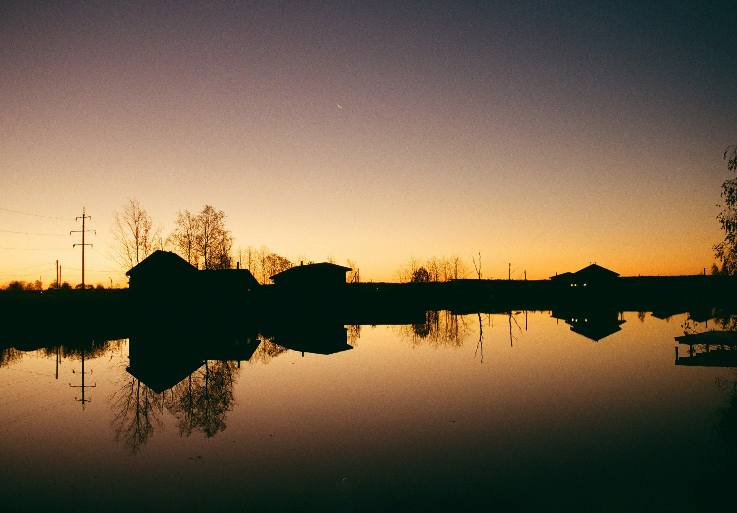 Из наблюдений. Плак или Квак