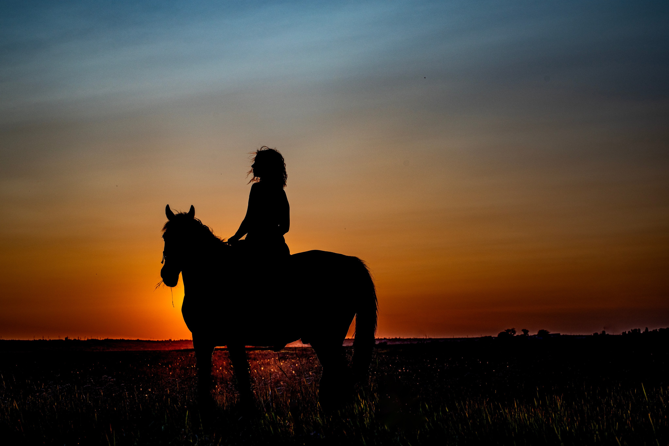 Леди и лошадь. Главная