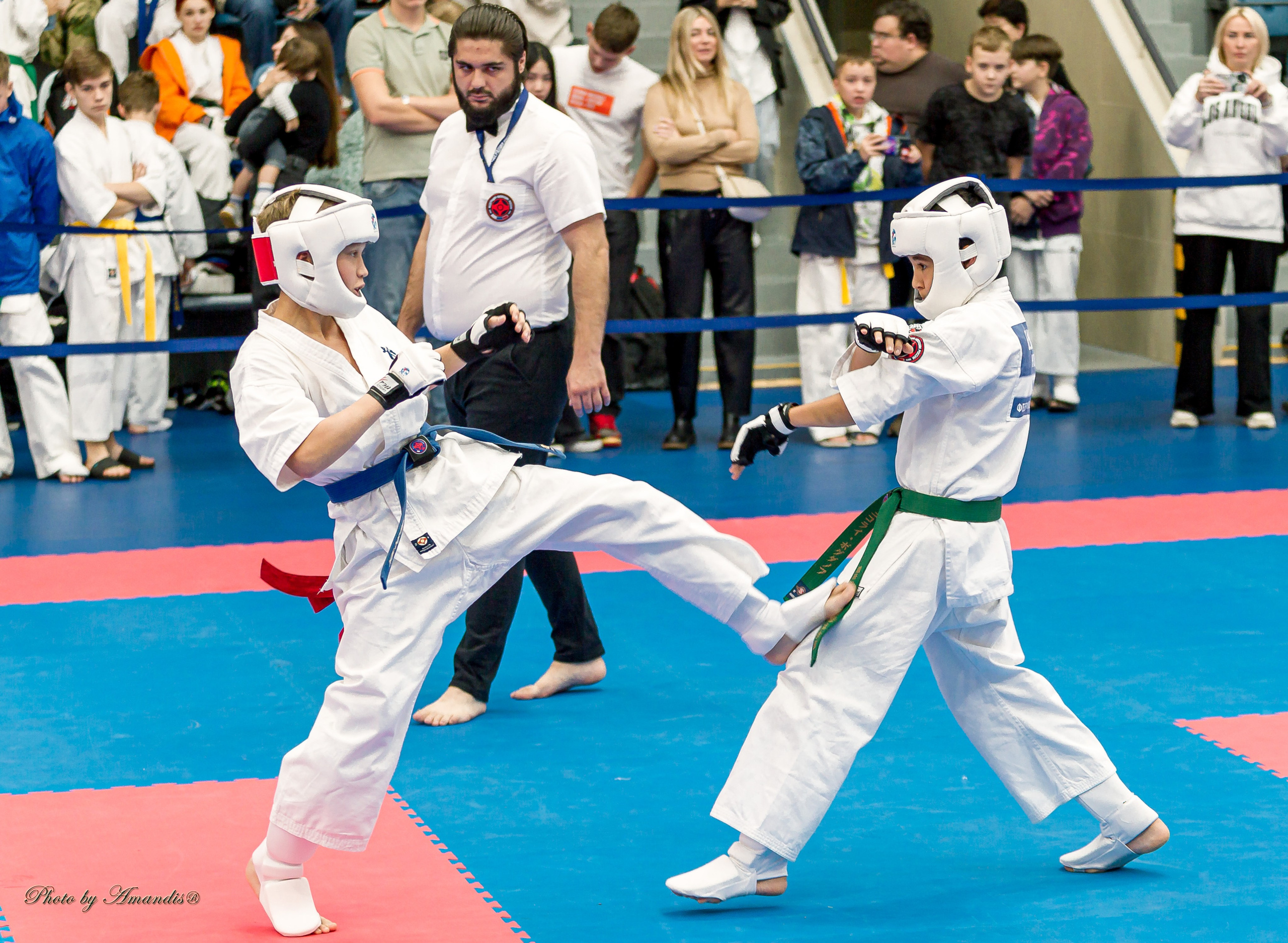 Чемпионат по Киокушинкай Центрального Федерального округа. Репортажная съемка в Москве и области. Анималистика