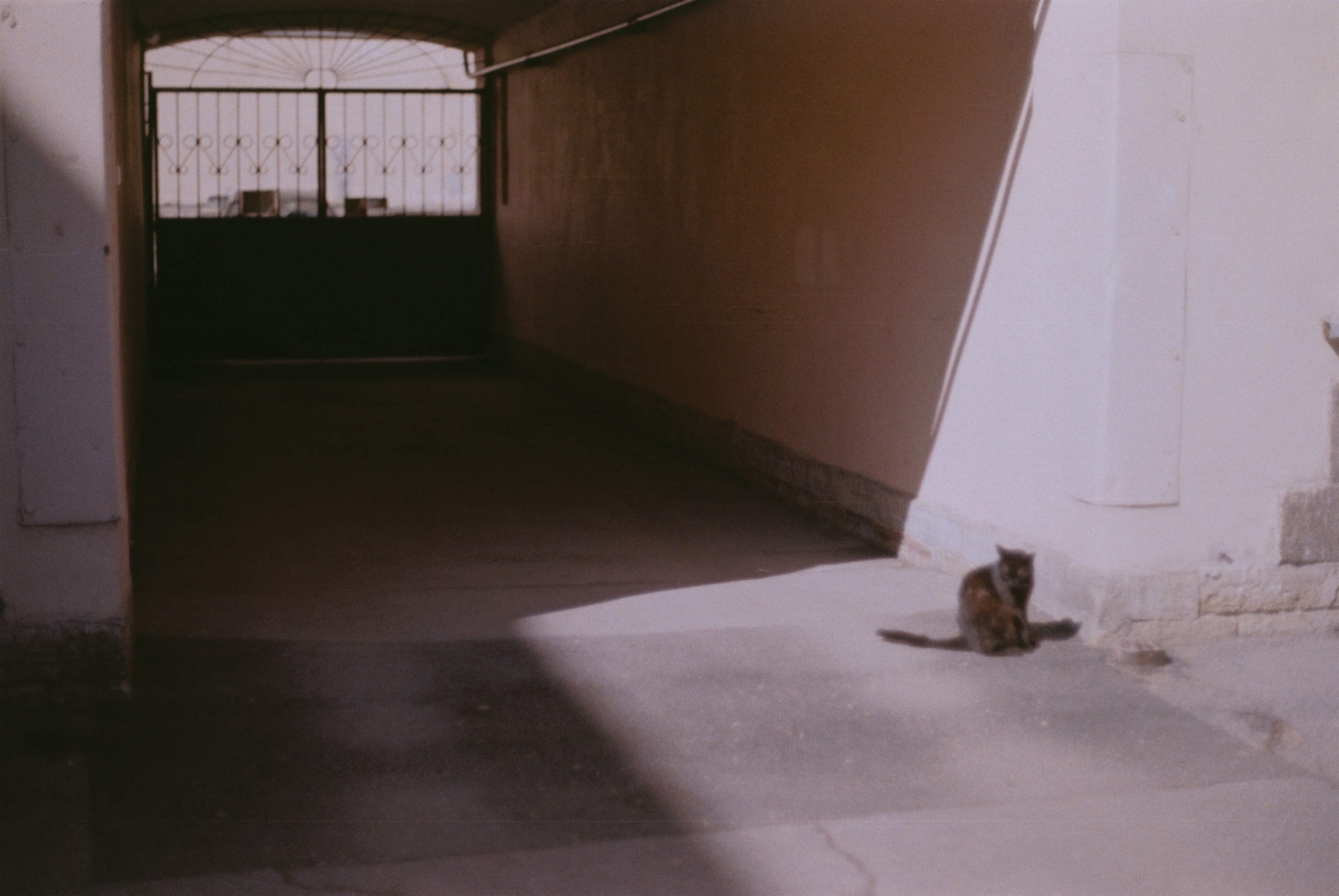 Dream chronicle. Part II. Pictorial dream — fine art fil photography by Yaroslav Pavlov