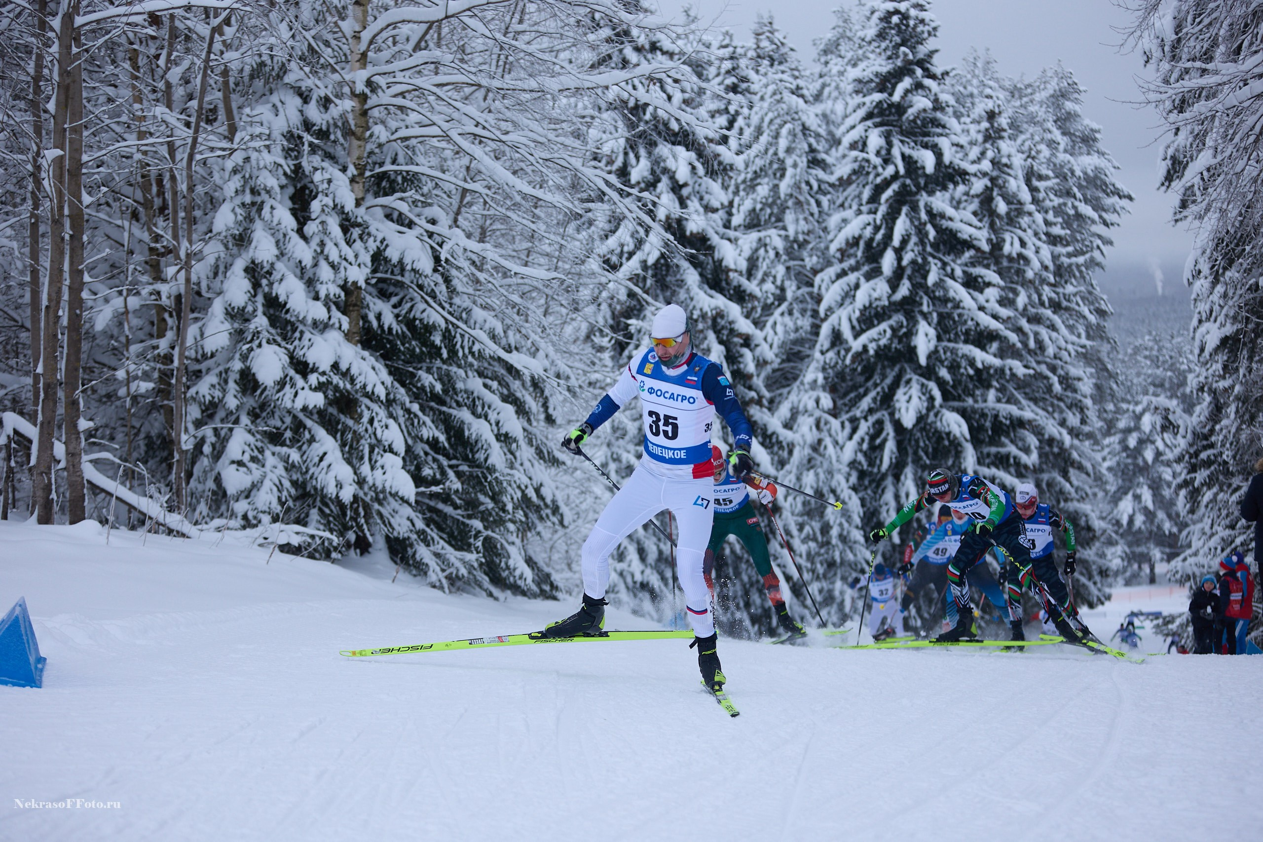 Кубок России по Лыжным гонкам. Спортивный фотограф Некрасов Денис