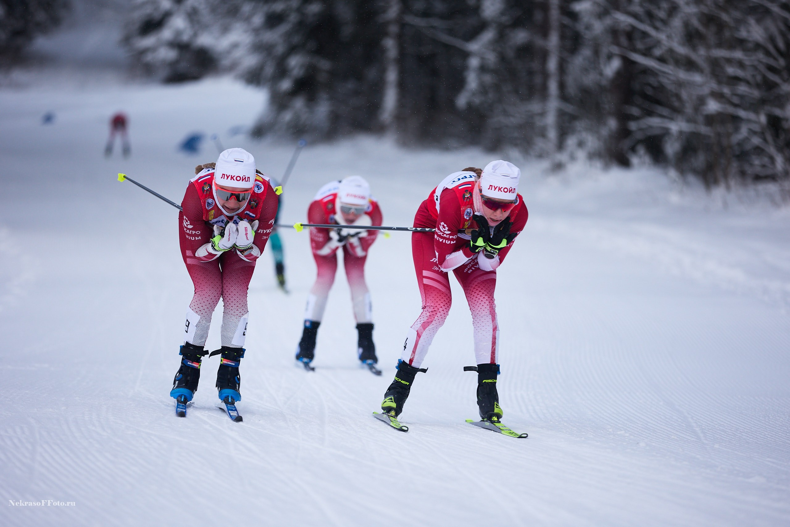 Кубок России по Лыжным гонкам. Спортивный фотограф Некрасов Денис