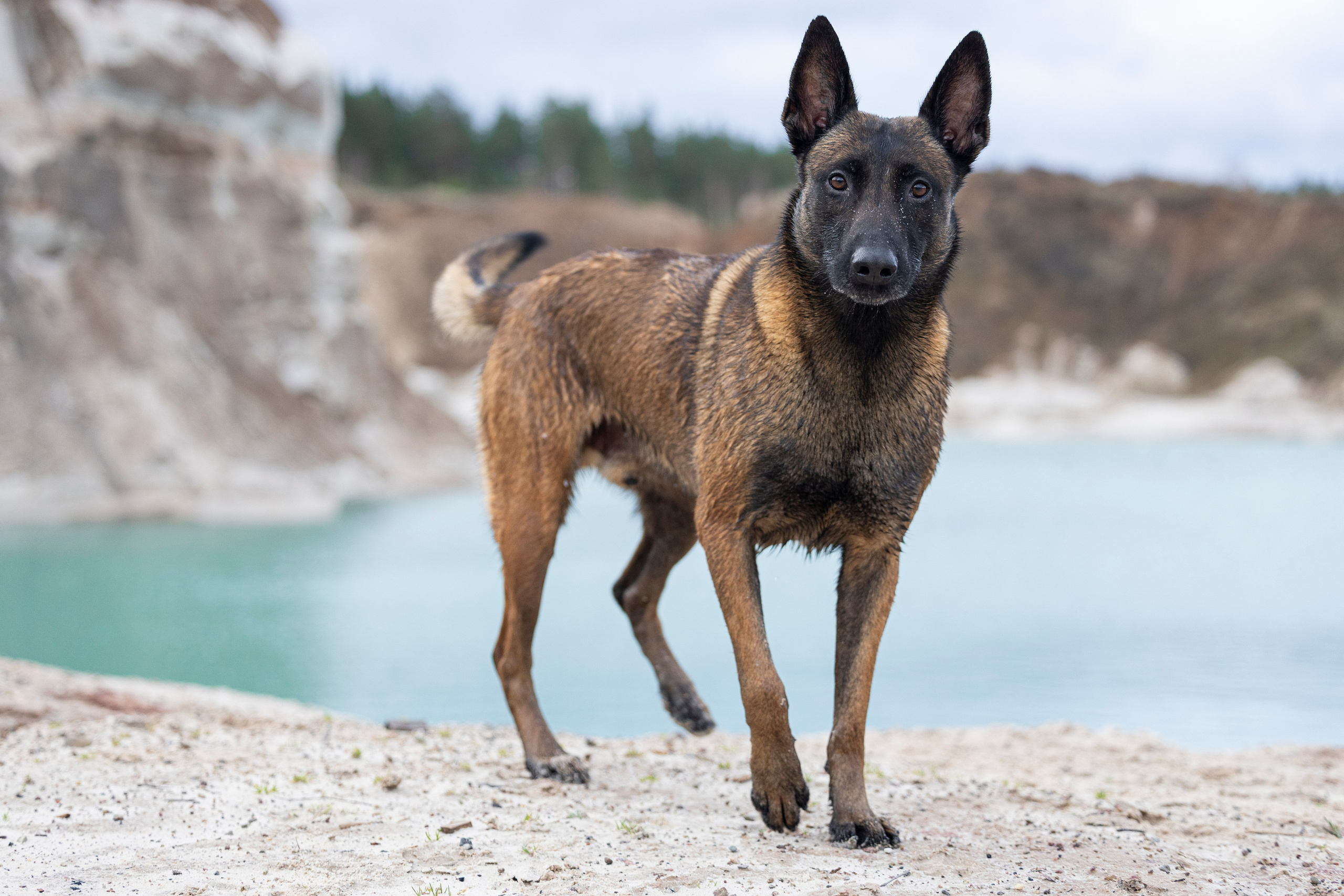 Лужские Мальдивы. Фотограф-анималист Анна Маринич