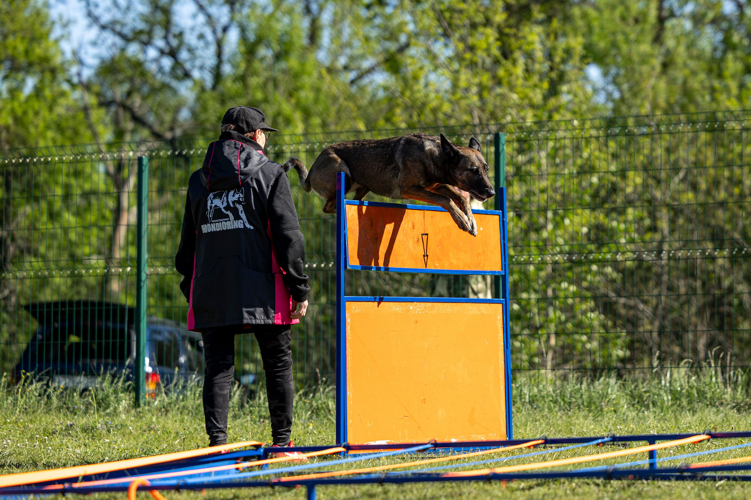 Испытания по мондьорингу в Нижнем Новгороде. Фотограф-анималист Анна Маринич
