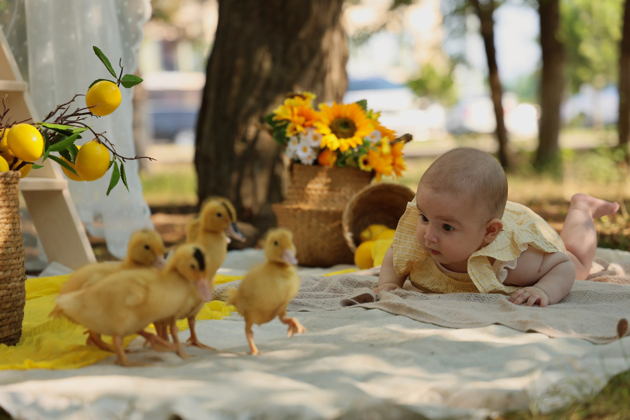 Дни рождения. Shirin Ustaeva Photography—больше, чем фотография