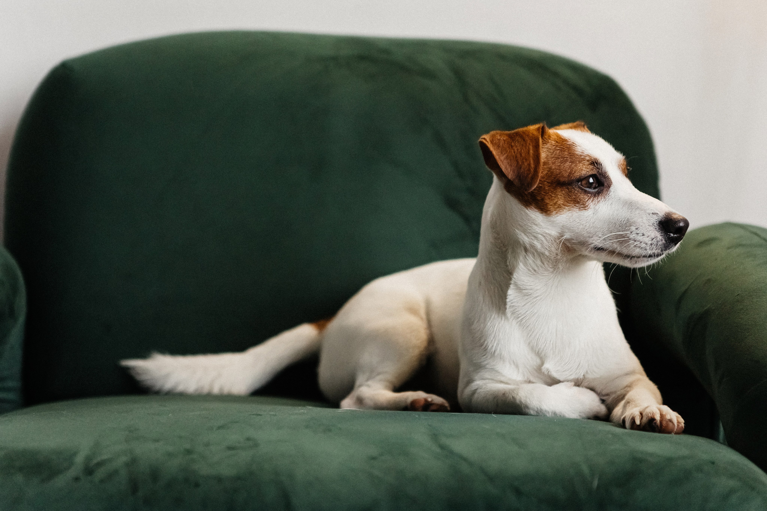 2024.03.24 Танюша, Руслан и Боба. Ирина Бешляга. Фотограф в Москве и по всей России