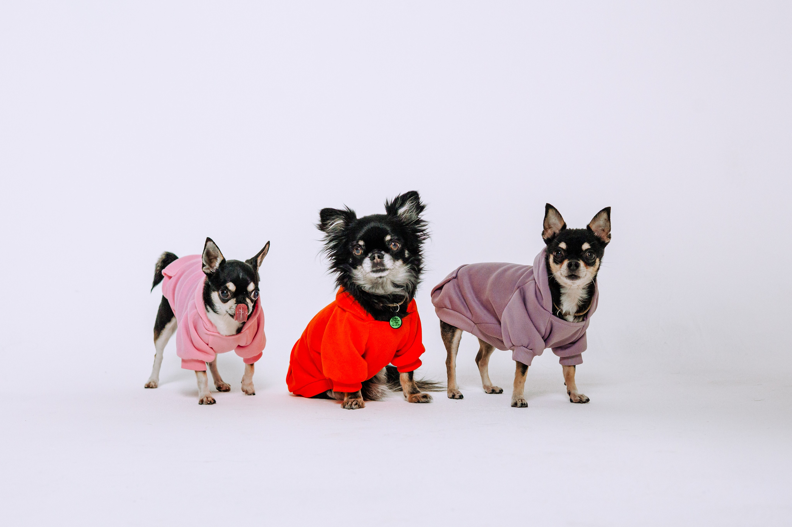 Семейная фотосессия. Фотограф-анималист Татьяна Степанова