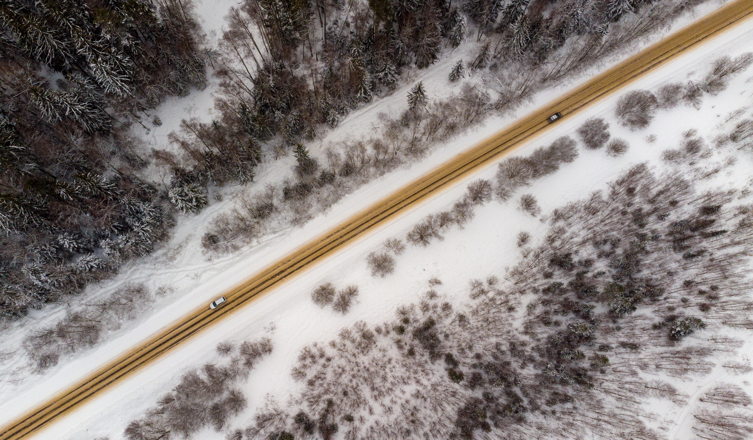 На досуге. Фотограф в Вязьме