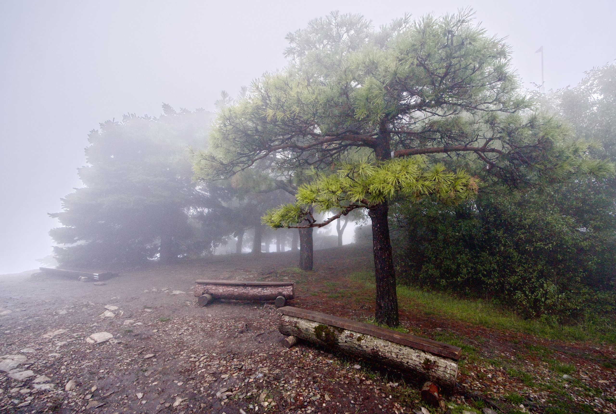 ПЕЙЗАЖ. Фотограф Николай Костюк
