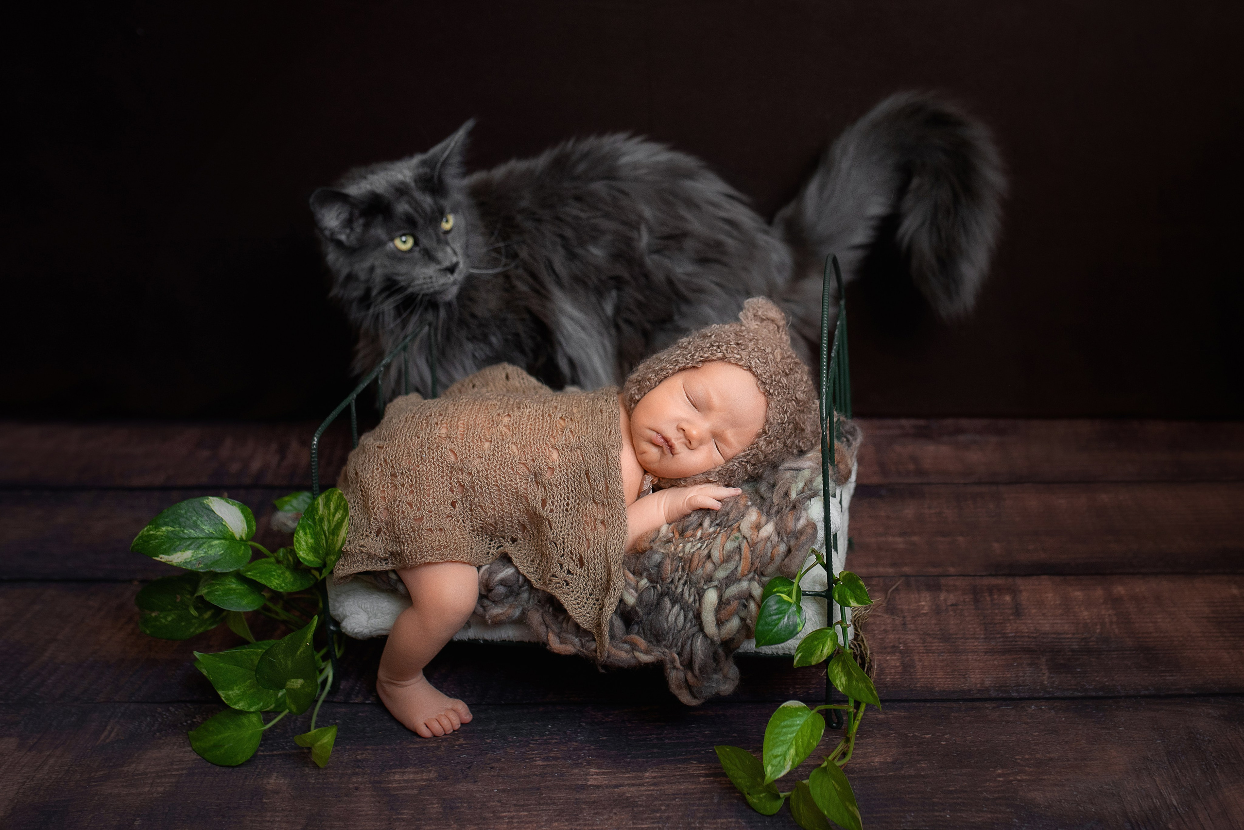 Макар. Фотограф новорожденных в Екатеринбурге Лена Ильина