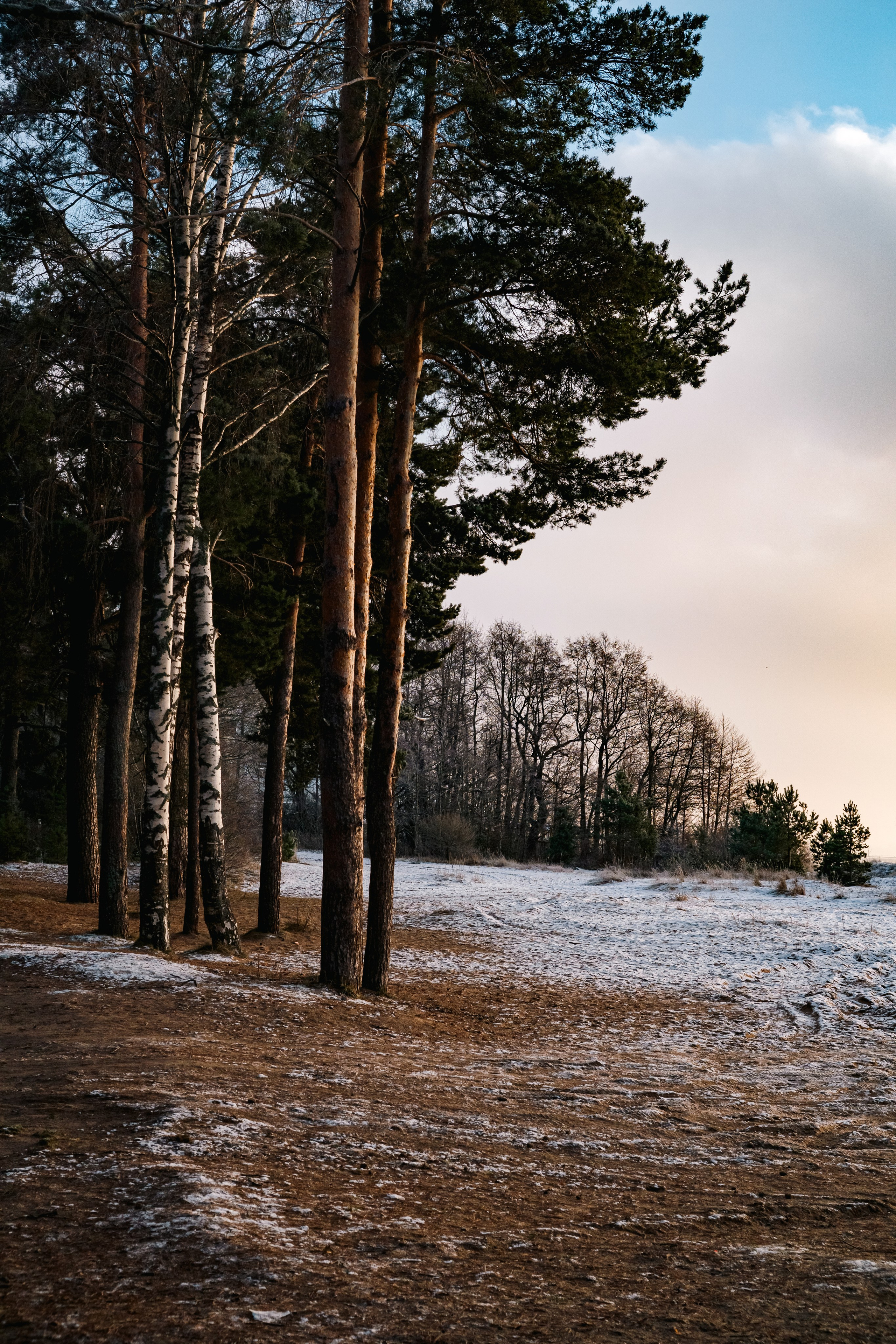 Финский Залив. Портретный и репортажный фотограф в Санкт-Петербурге Смоляков Максим