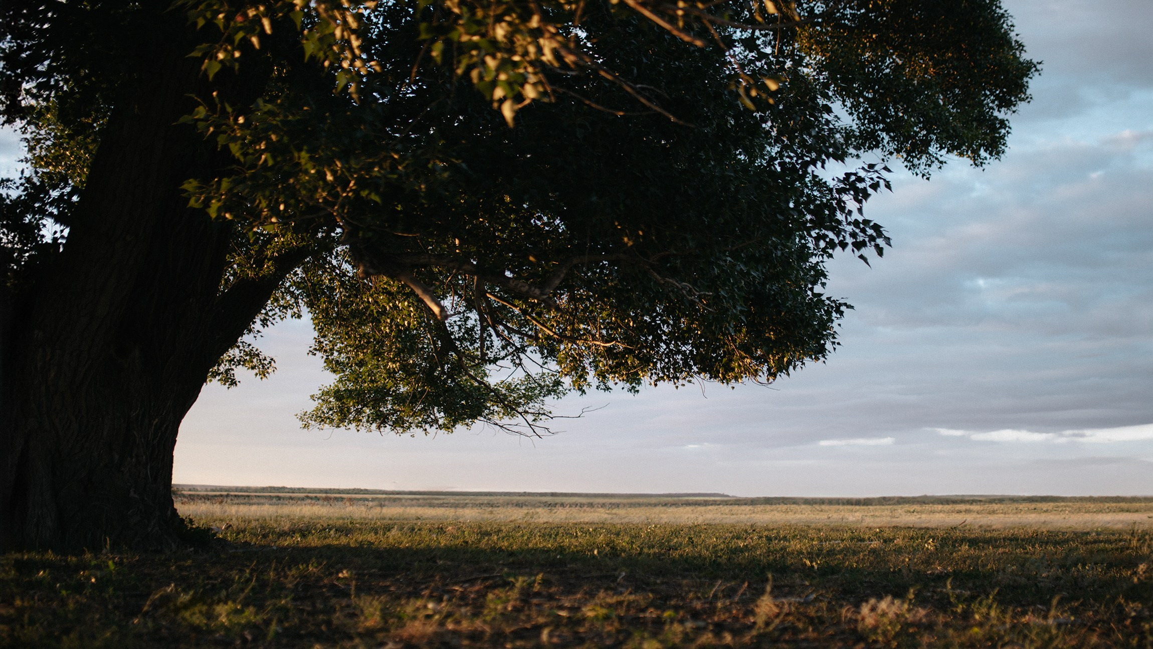 Amira. Портретный и репортажной фотограф Алексей Волков. Москва, Оренбург