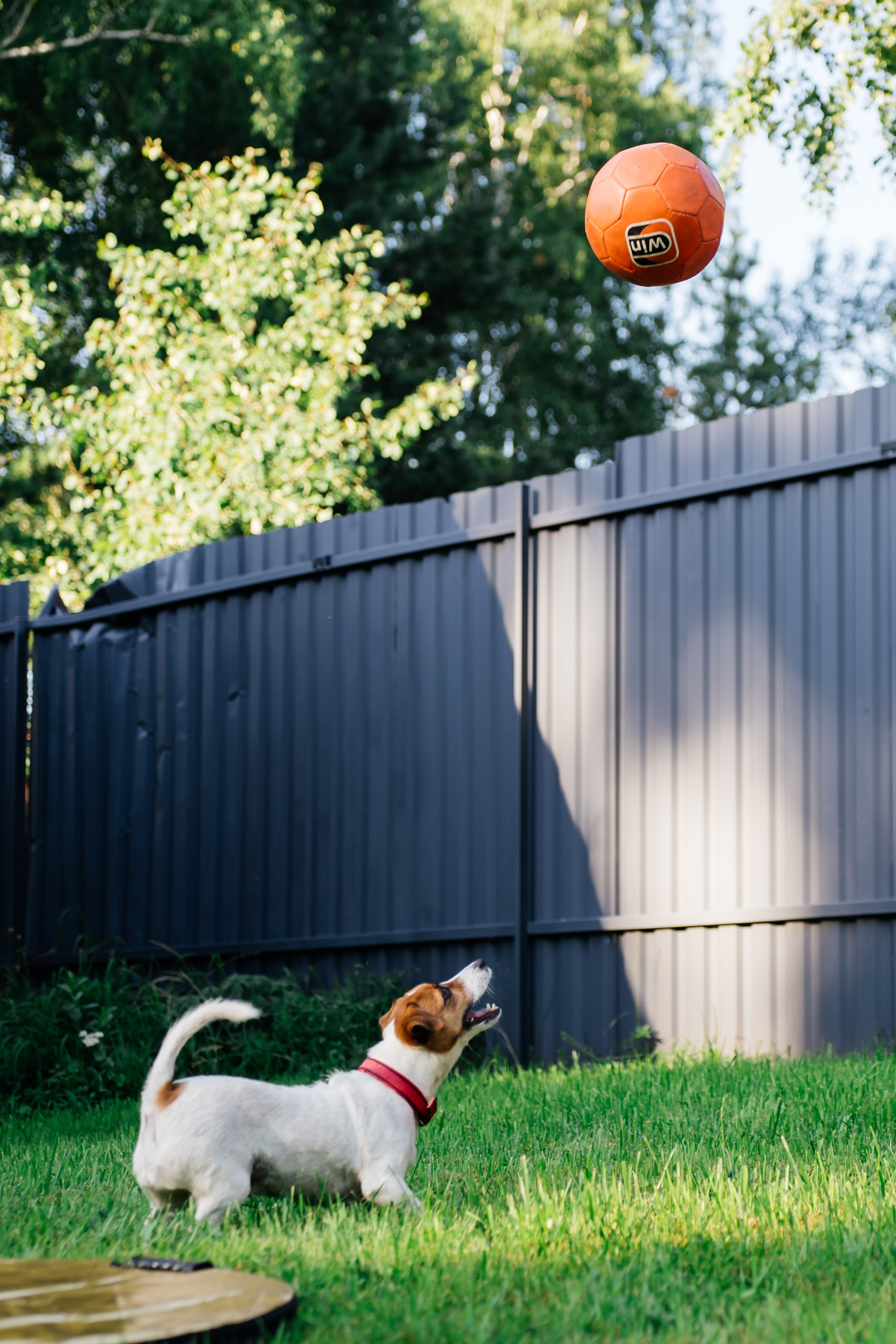Weekend with friends. Видеограф и Фотограф в Челябинске Ксения и Владимир Рюмины