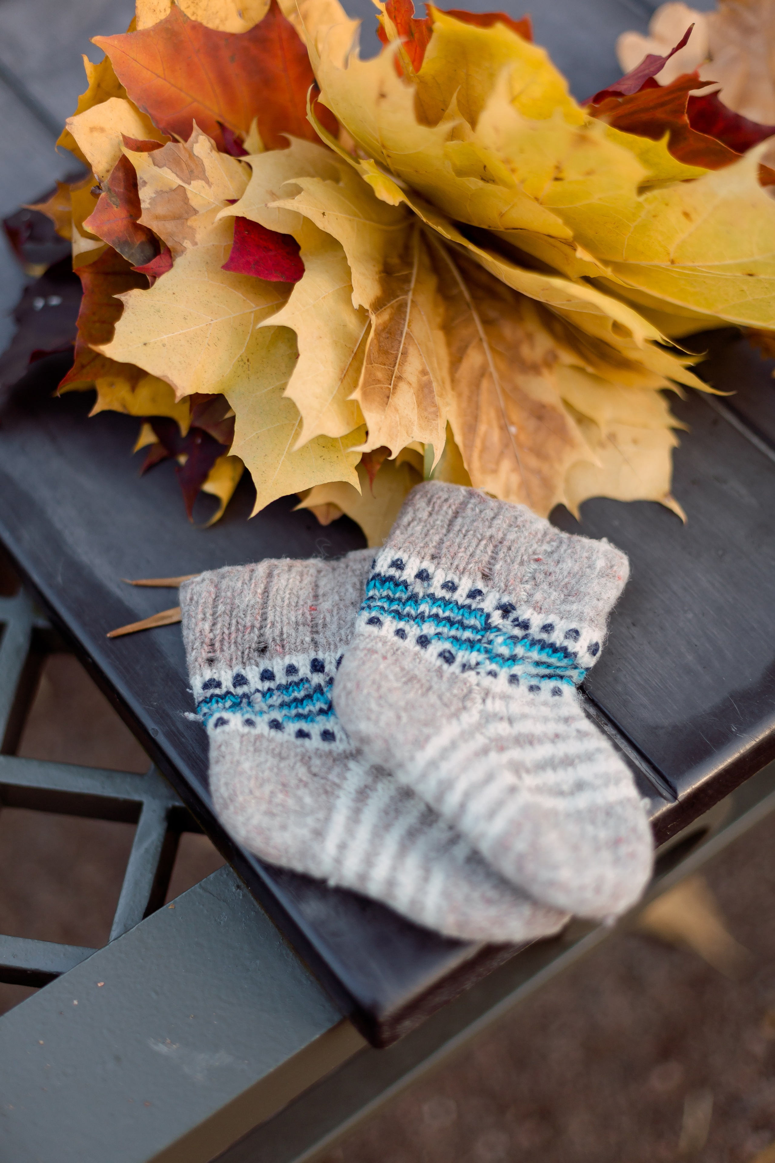 Осенние фотосьемки. Свадебный и семейный фотограф Спб Бошман Ирина