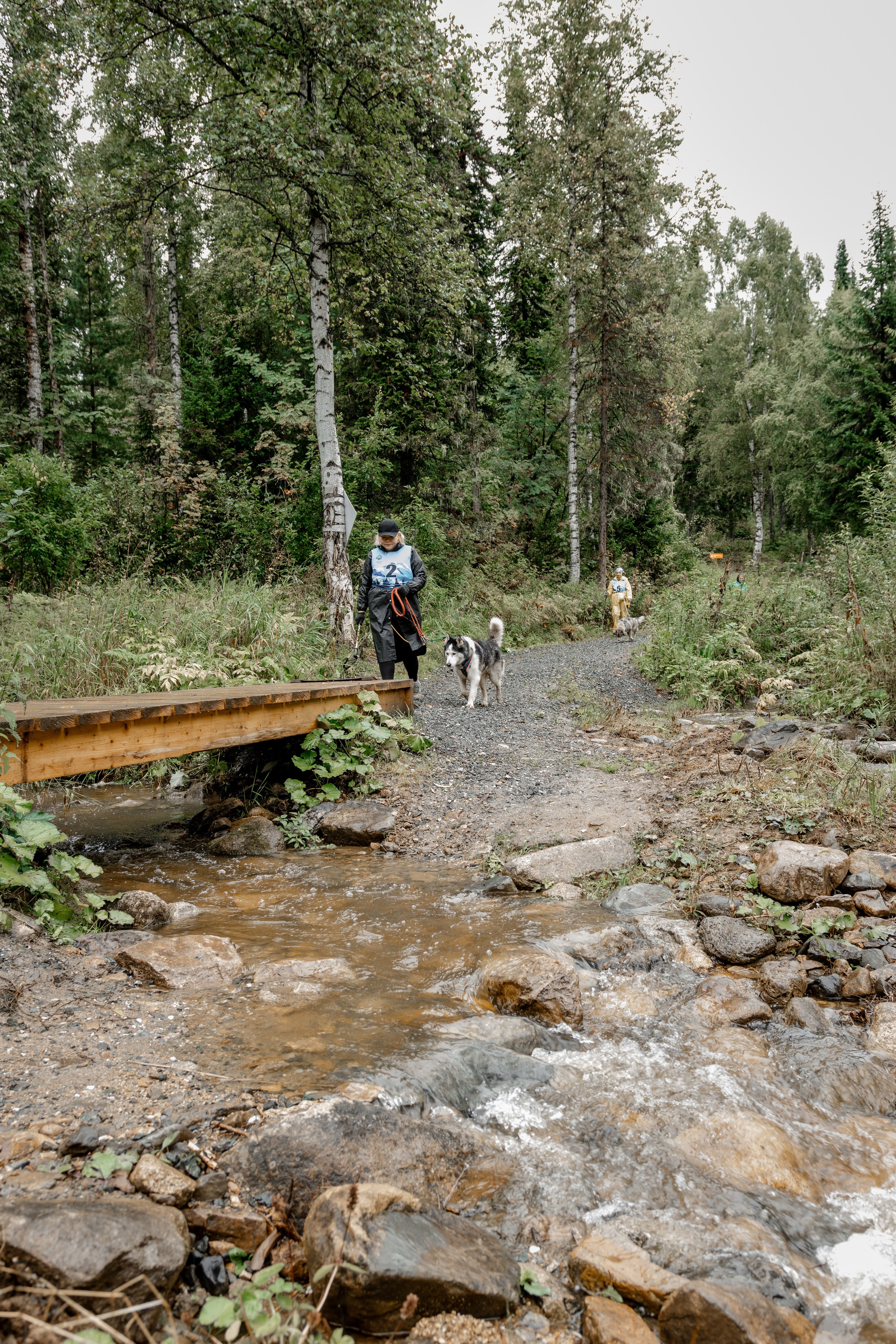 Дог-треккинг