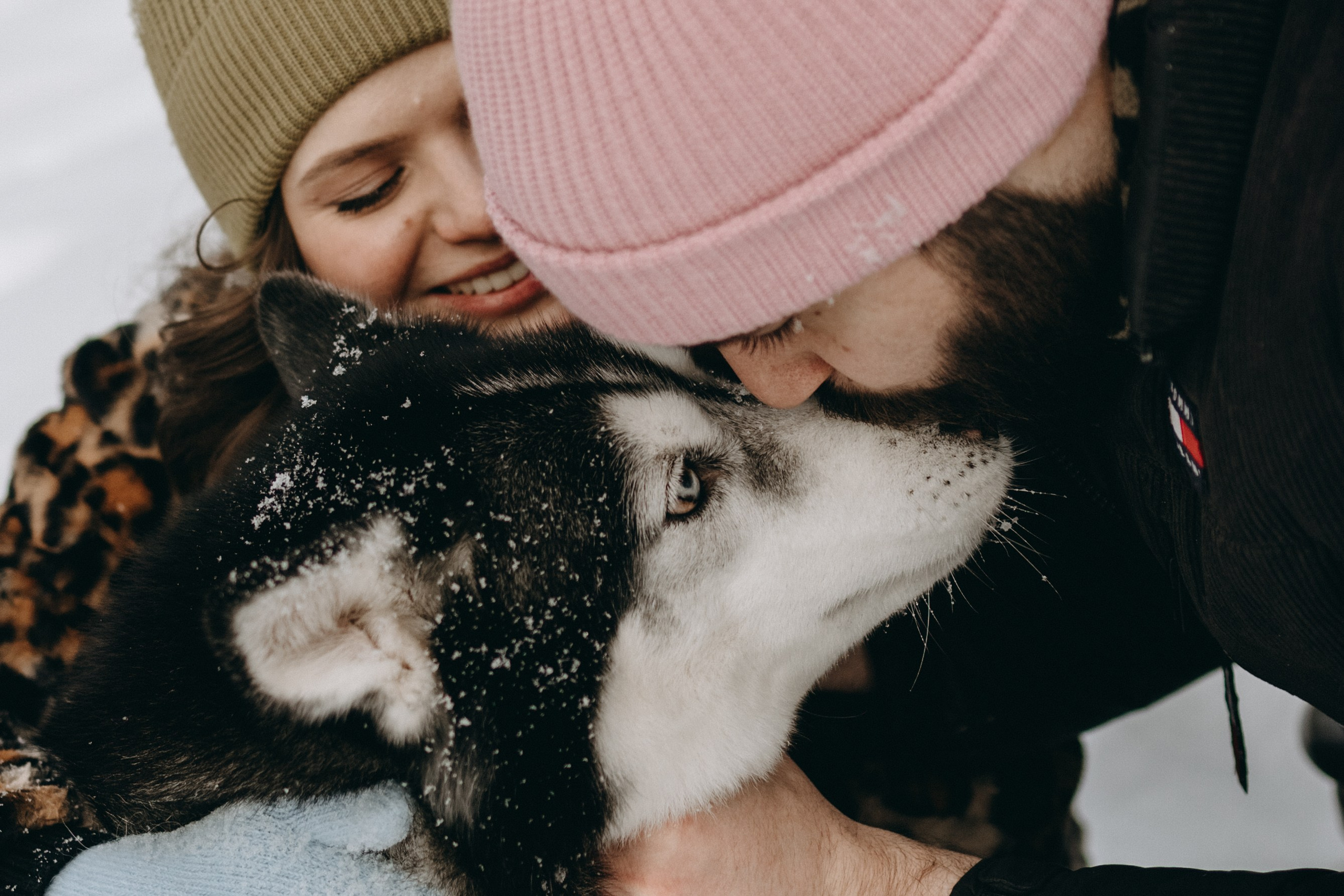 Вегас и его семья. Фотограф — Анималист | Санкт-Петербург