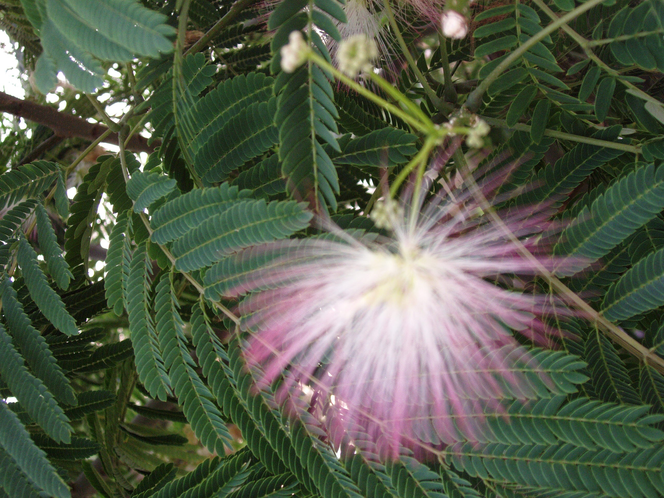 Кабардинка 05-19.07.2013. Семейный, Свадебный фотограф СПБ Питер— Романова Екатерина