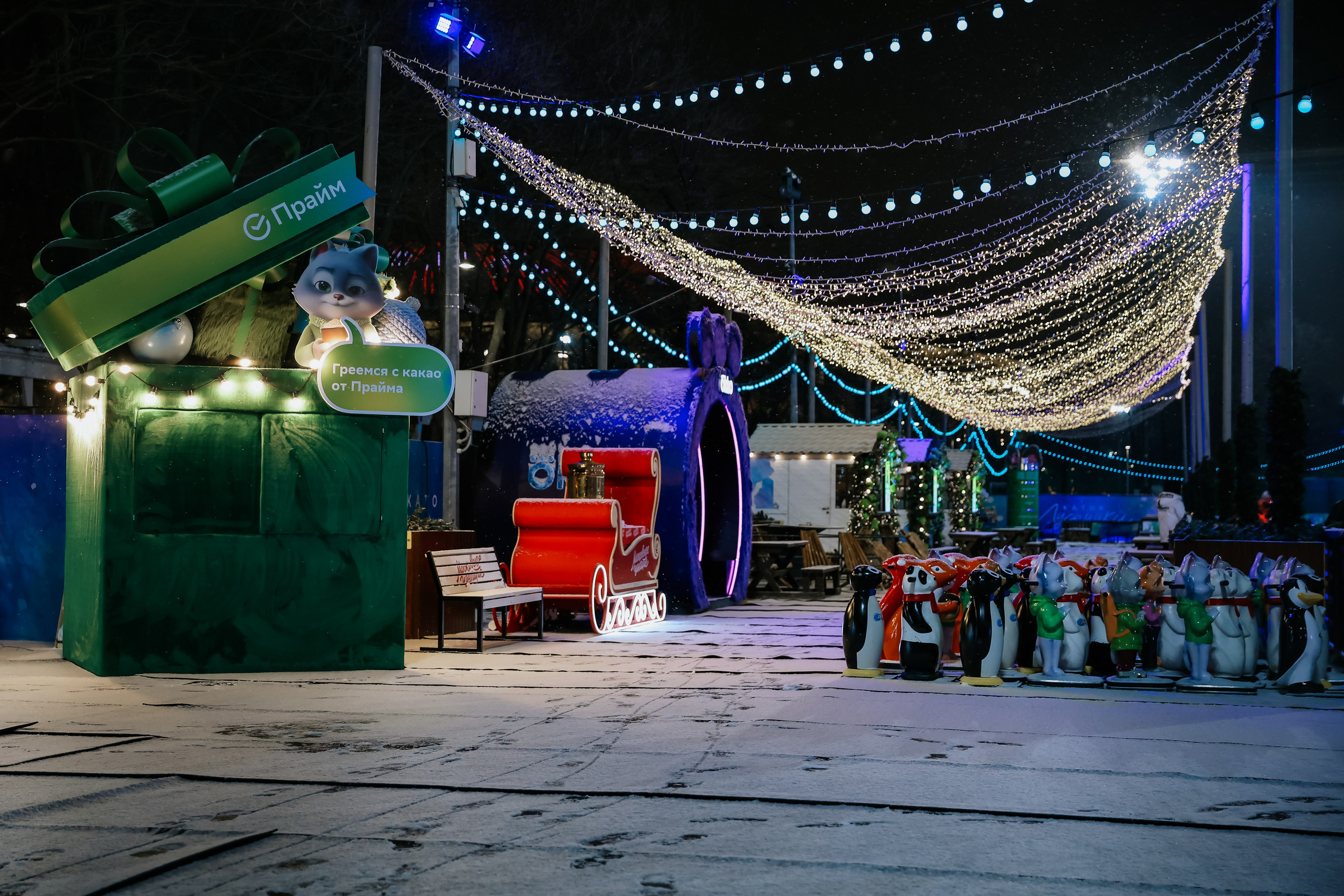 Ледовое Шоу Лужники. Фотограф и видеограф Анна Домашенко