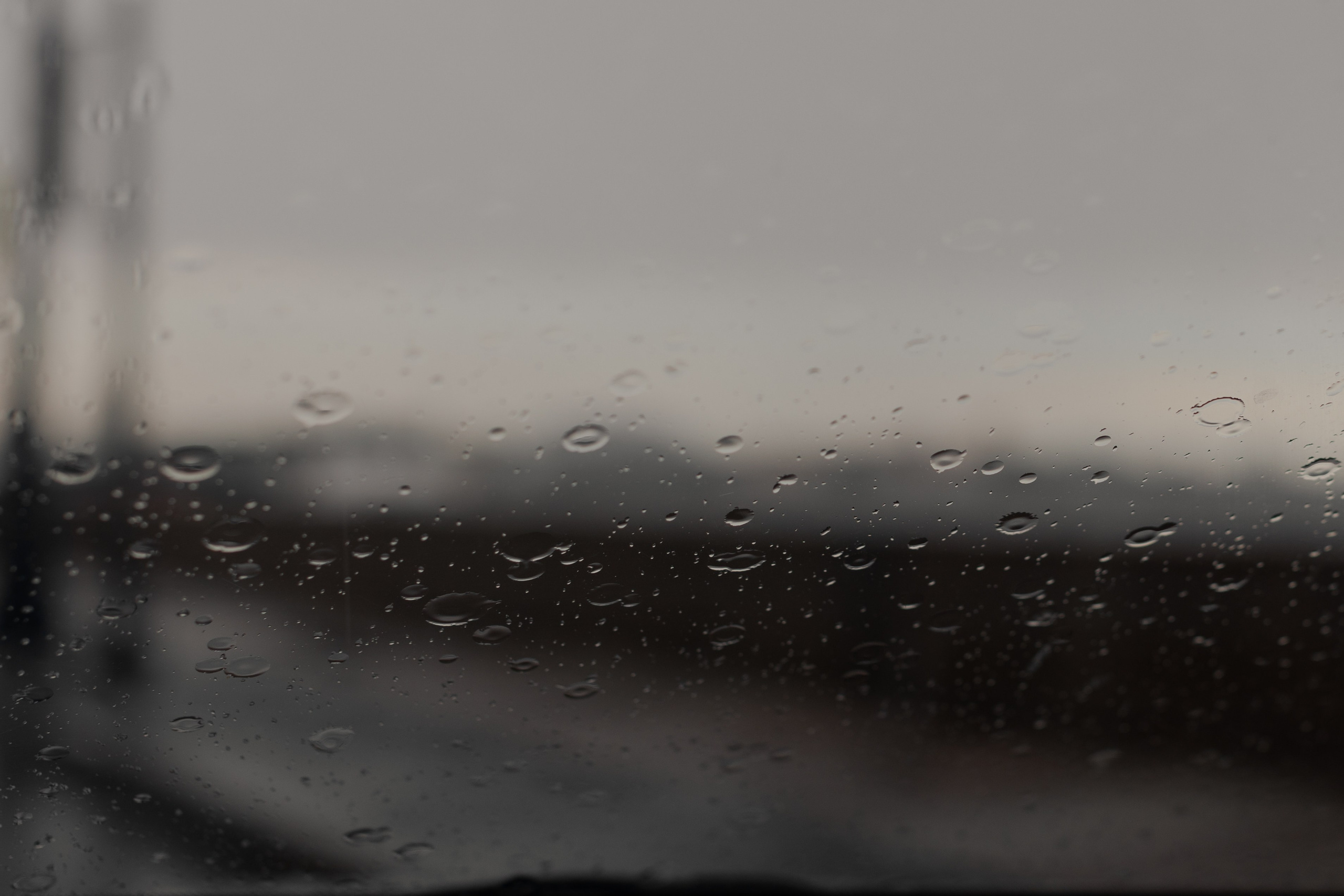 Виталий и Полина: свадьба загородом, где дождь не помеха. @dariazphoto свадебный фотограф