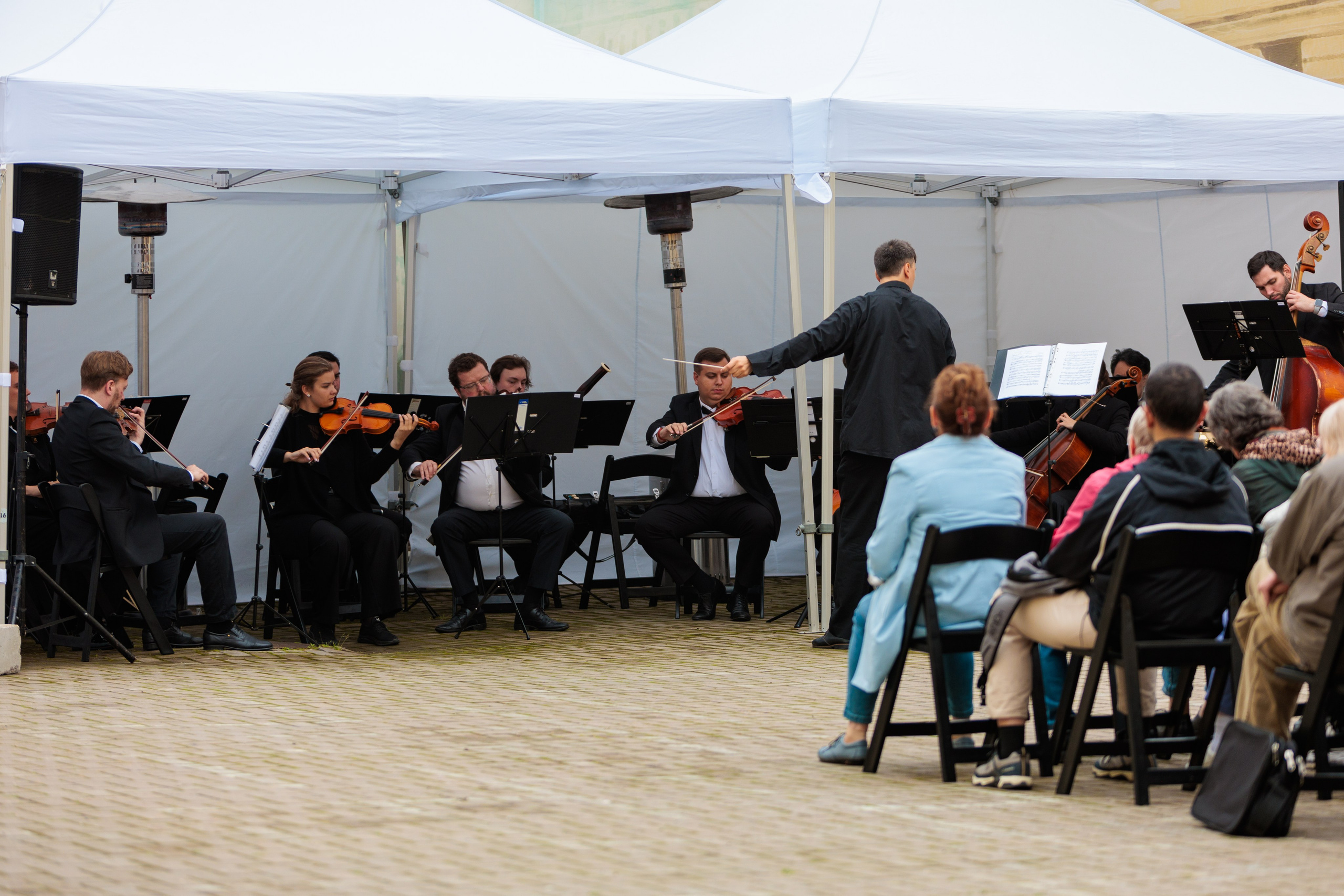 Концерт малого симфонического оркестра. Репортажный фотограф Санкт-Петербург | Роман Карбышев
